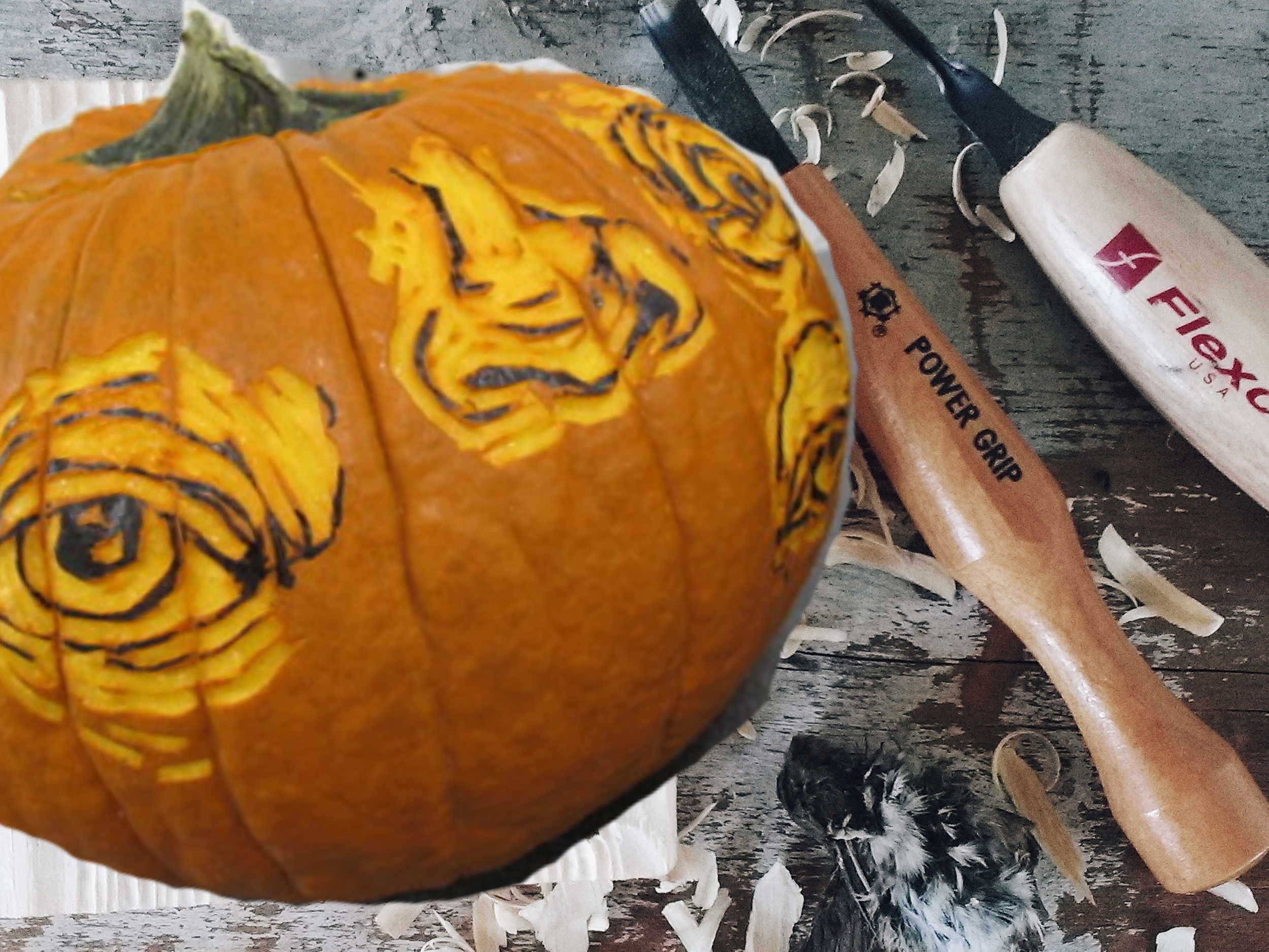 woodcut pumpkin.png