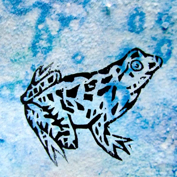 pickerel frog.jpg