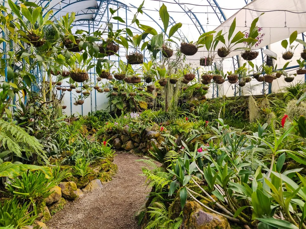 BotanicalGardens-35.jpg