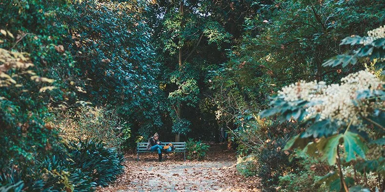 path-botanical-garden.jpg