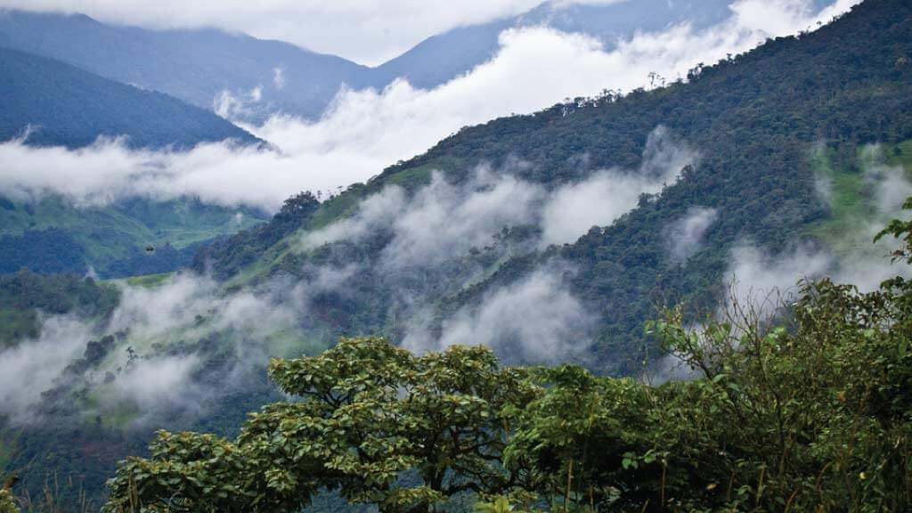 cloud-forest-landscape.jpg