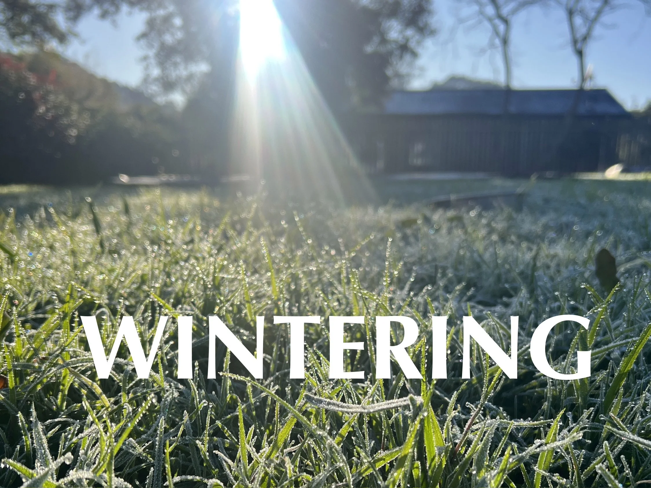 Winter Break