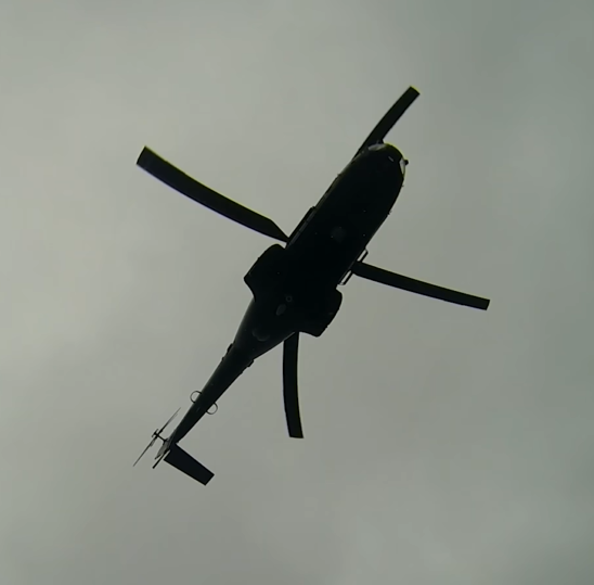 Capture d’écran 2025-06-05 080007.png