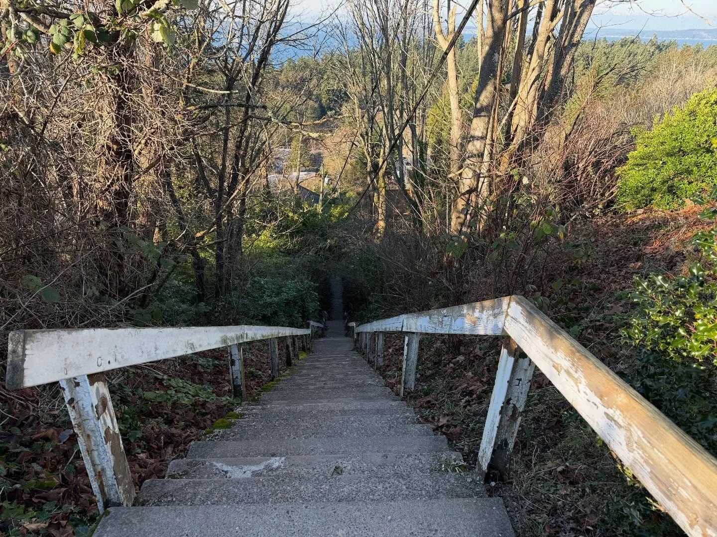 It&rsquo;s the Thistle Street Steps for me. Climbing mountains both inside my mind and with my poor lil out-of-shape legs.