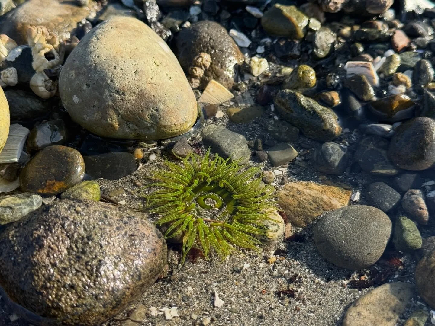 It&rsquo;s the small things that bring me a little glimpse out of the mind fog.