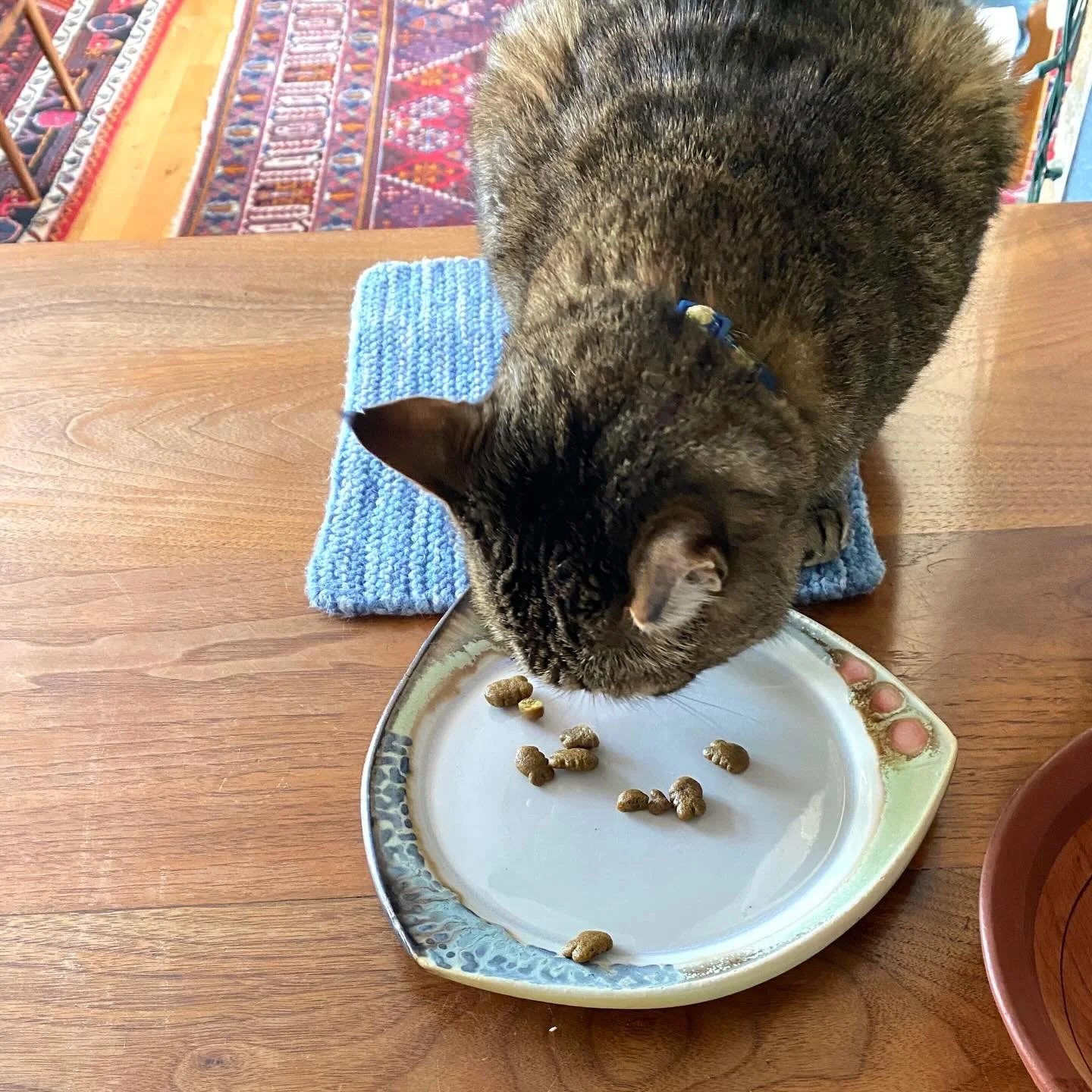 Some kitties have very fancy dinnerware. meow! Thanks for the photo @stevengodfreyceramics 🐈&zwj;⬛