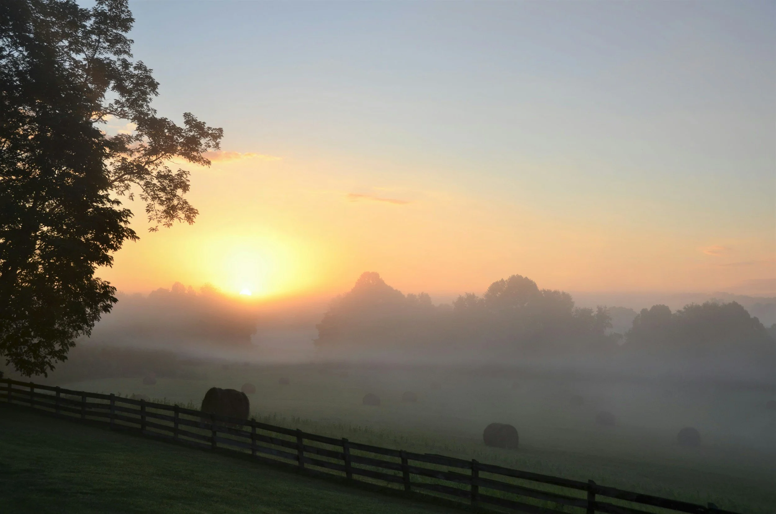 A sunrise over a misty landscape with trees, a wooden fence, and large rocks in the foreground.