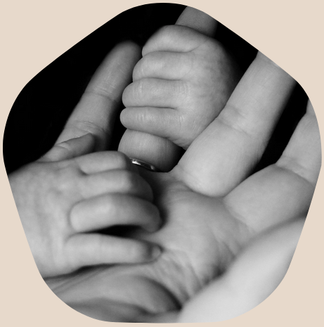 The Night Owl Package