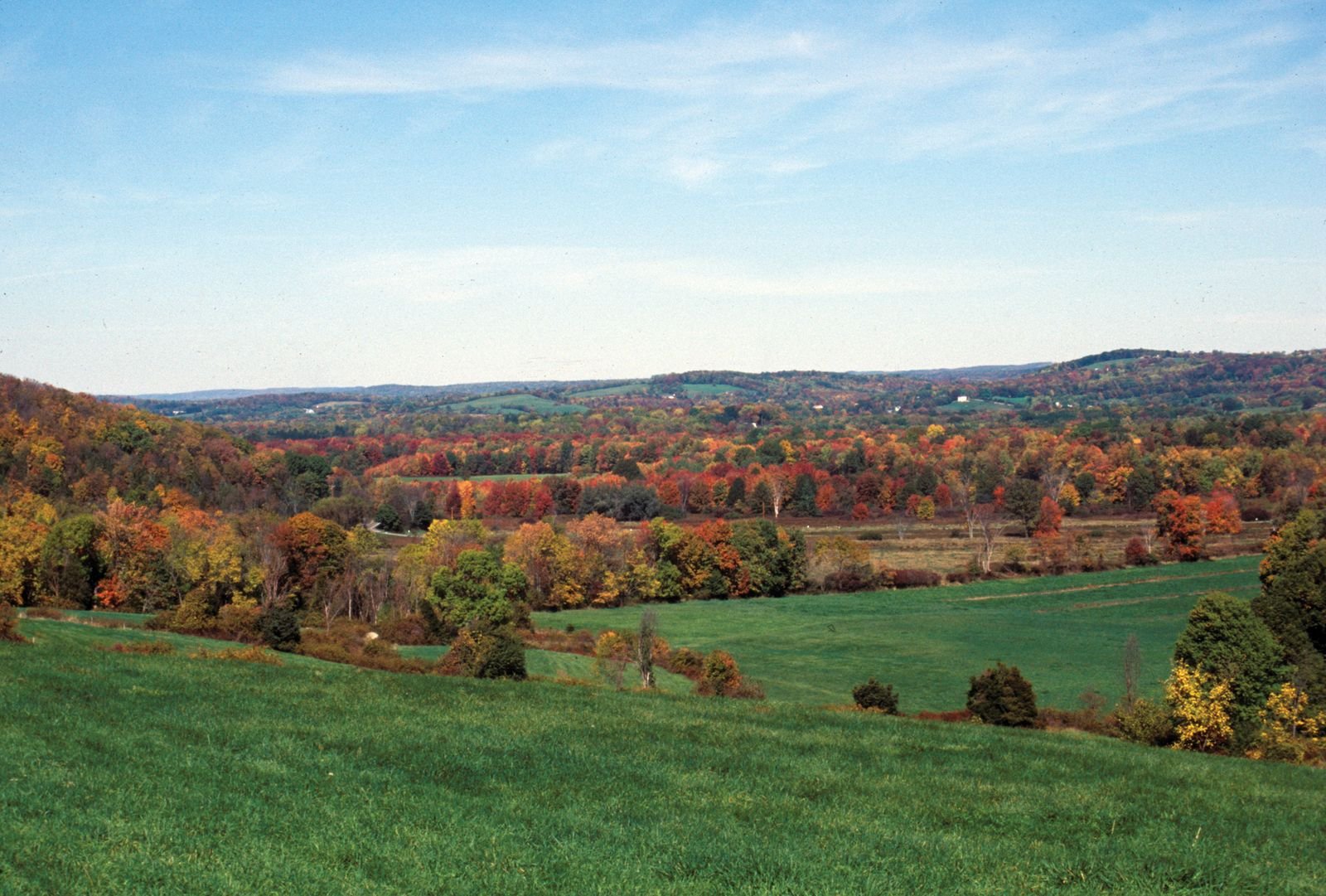 Sussex