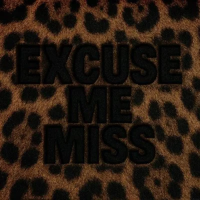 The Vibez Are Up: Vibez Muzik Delivers a Catchy, Confident Hit with "Excuse Me Miss"