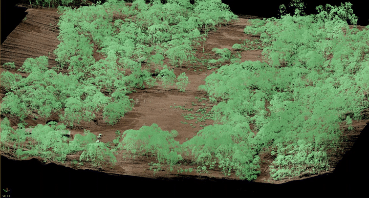 LiDAR point cloud data visualisation of a survey site