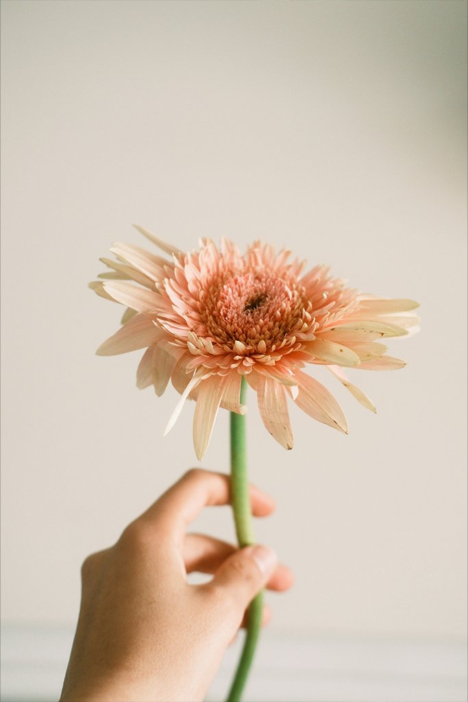 Act with love, release the outcome