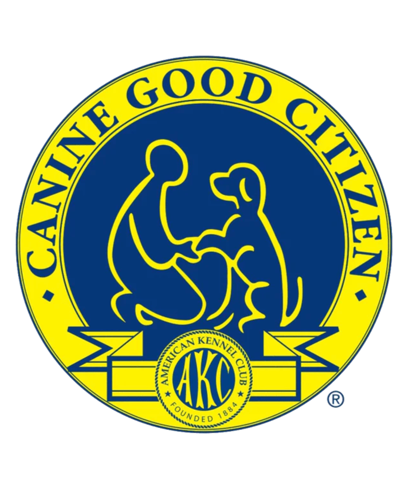 Dog 'CANE GOOD CITIZEN' and 'AMERICAN KENNEL CLUB'.