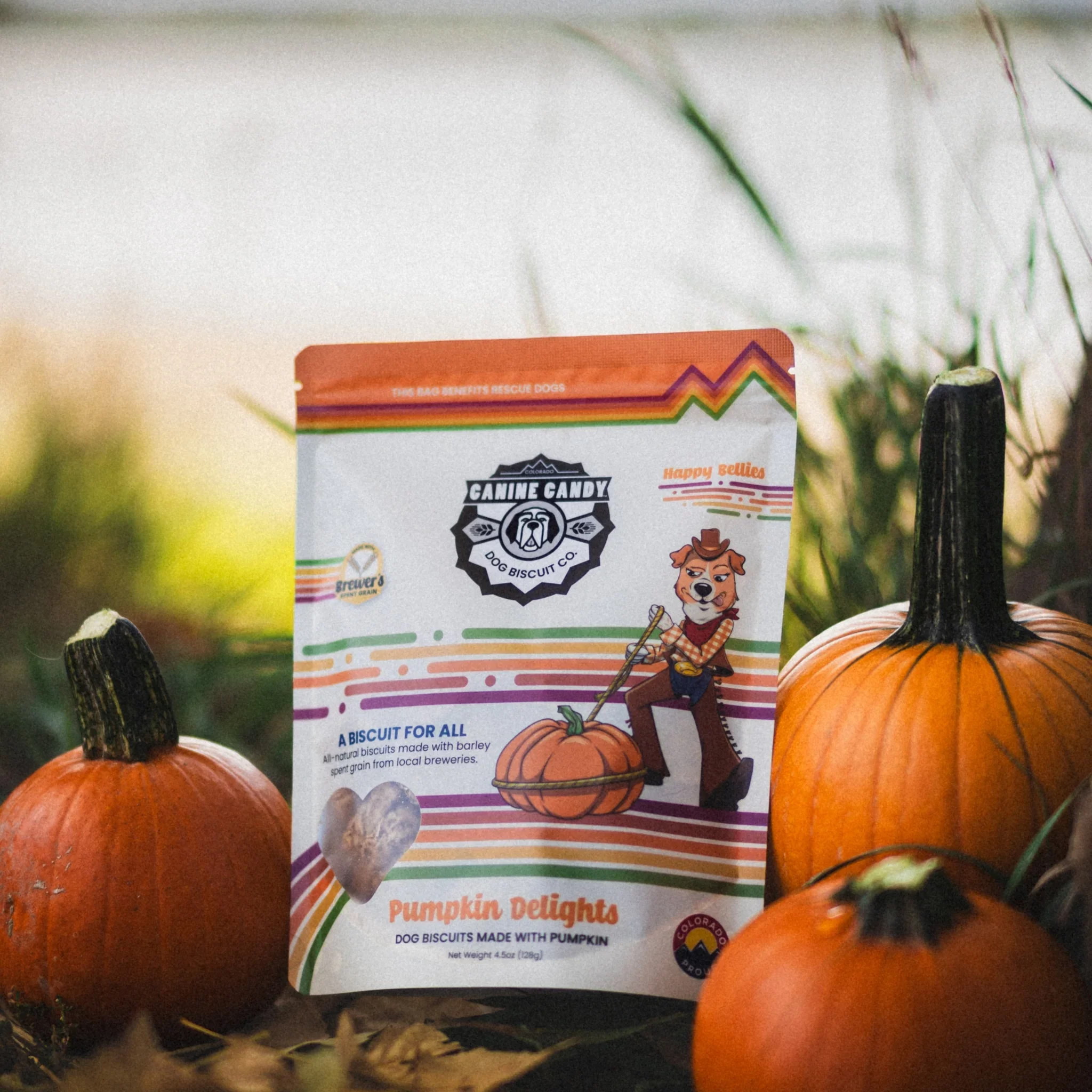canine-candy-pumpkin-delights-upcycled-dog-treats-full-bag-front_2048x2048.webp