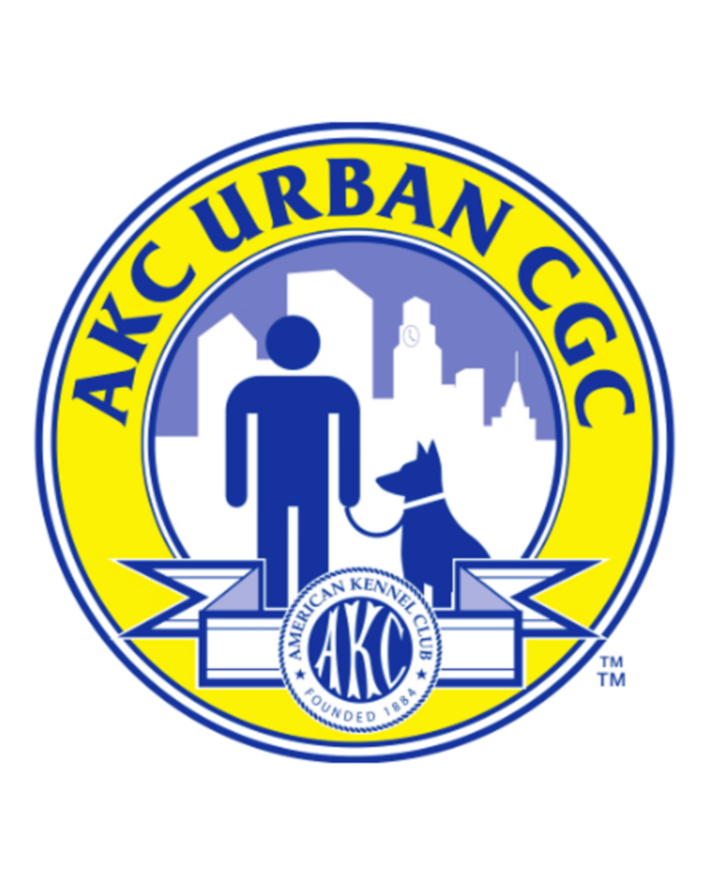 Logo of the American Kennel Club (AKC) with a city skyline, a person with a dog on a leash, and yellow and blue colors.
