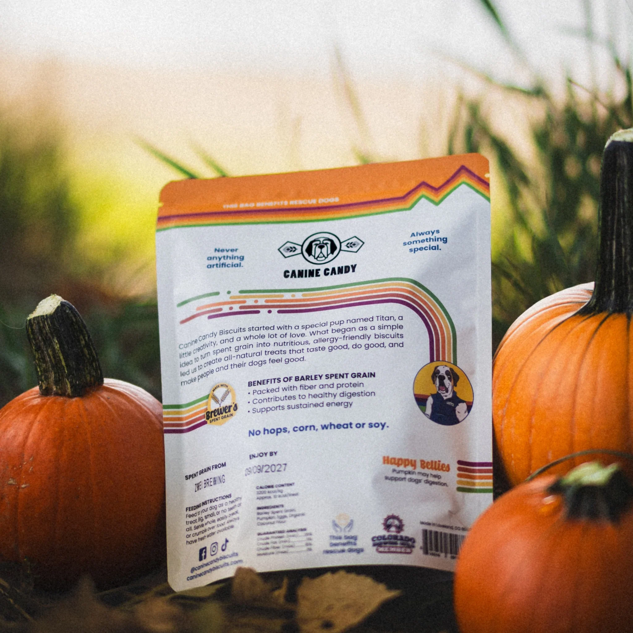 canine-candy-pumpkin-delights-dog-treats-ingredients-nutrition-back_2048x2048.webp