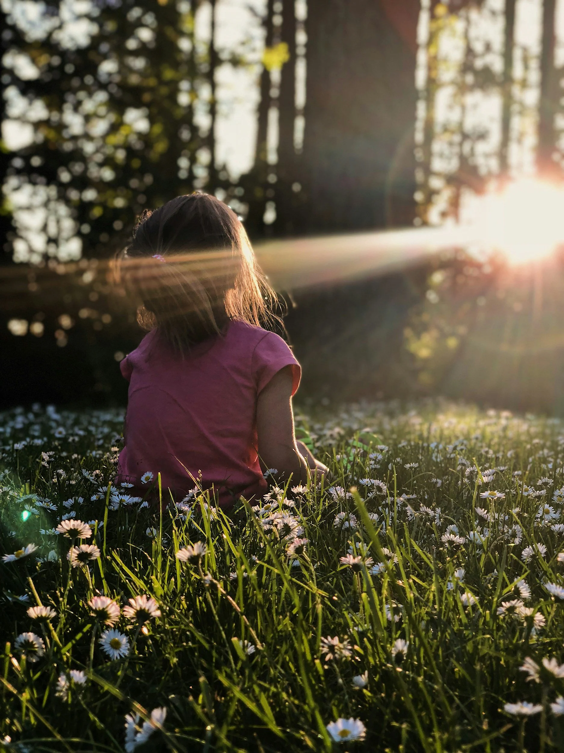 A young girl sitting in a field of daisies during sunset, with sunlight shining through trees in the background.