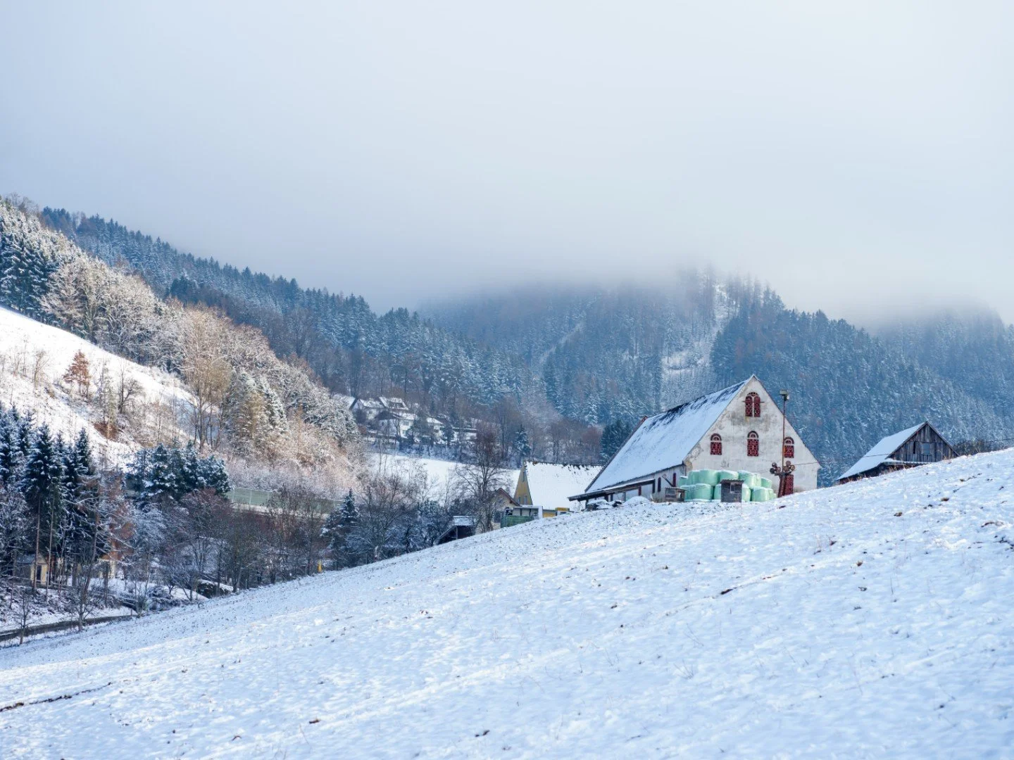 Under the Weight of All That Snow