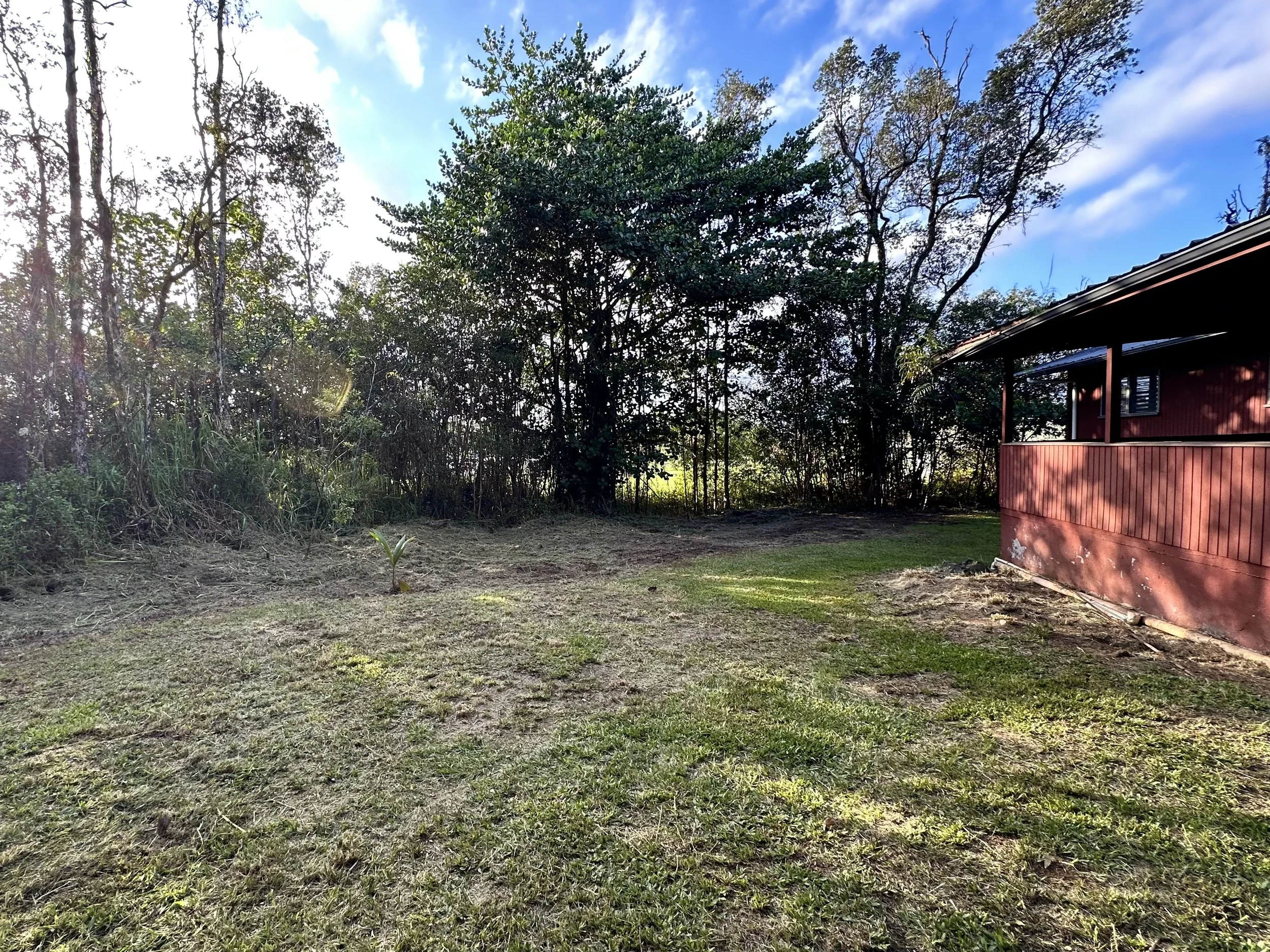 Before &amp; After: One-Day Yard Restoration in Hawaiian Paradise Park (Hilo, HI)