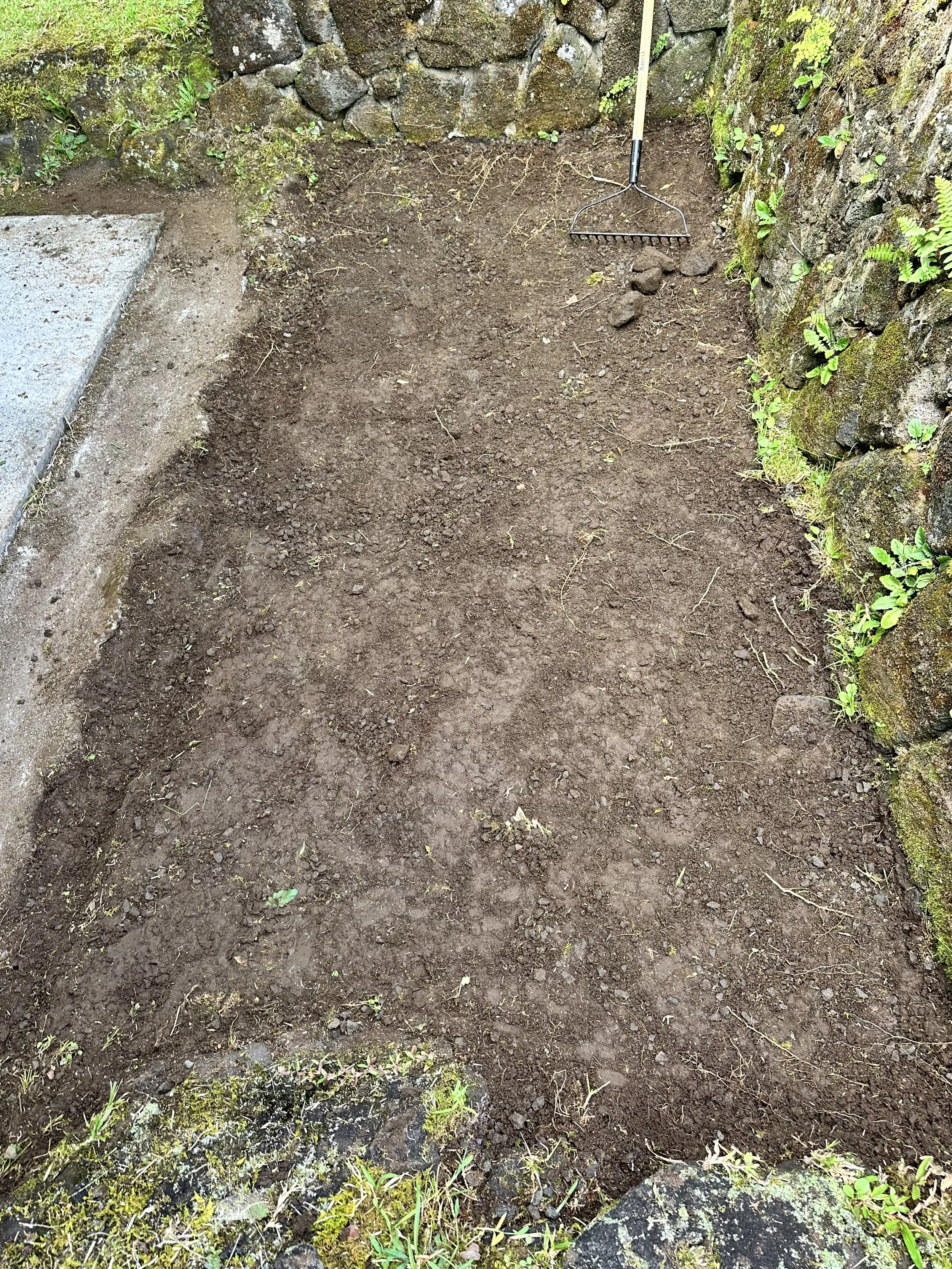 hilo-hawaii-gravel-project-before-goat-path-restoration.jpg