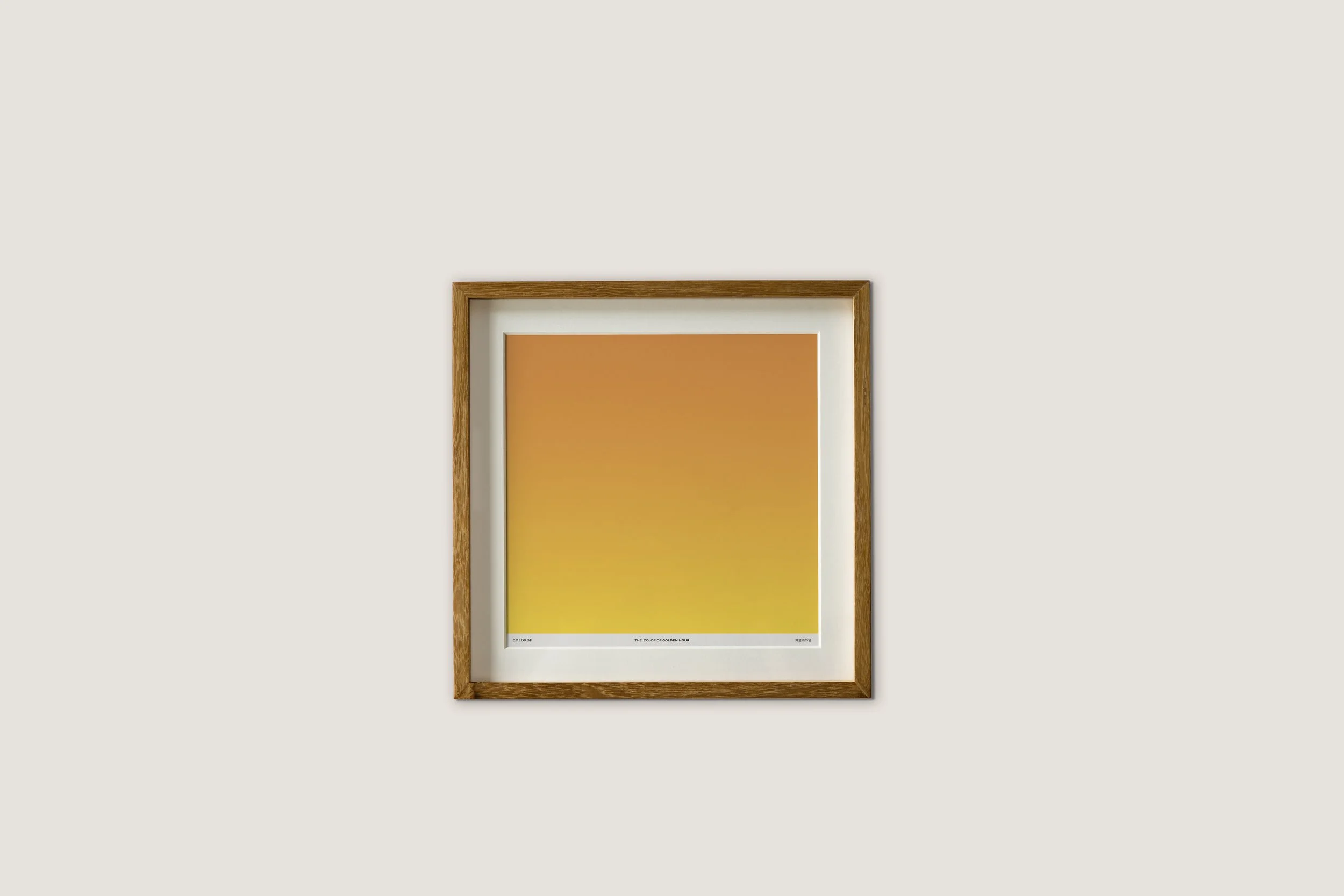 Golden Hour 金時の色
