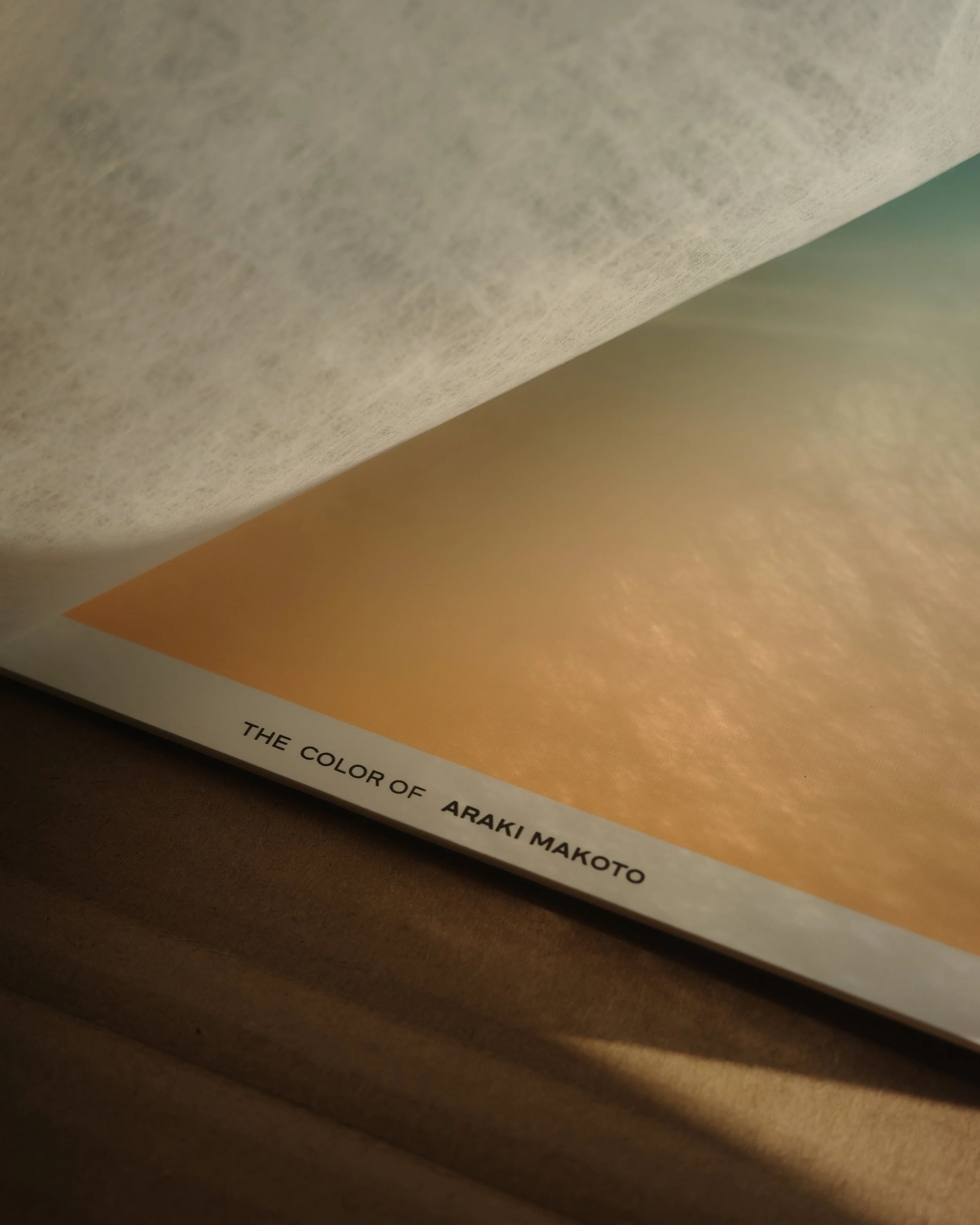 'The Color of Araki Makoto' partially visible, showing the customise art print with color gradients.