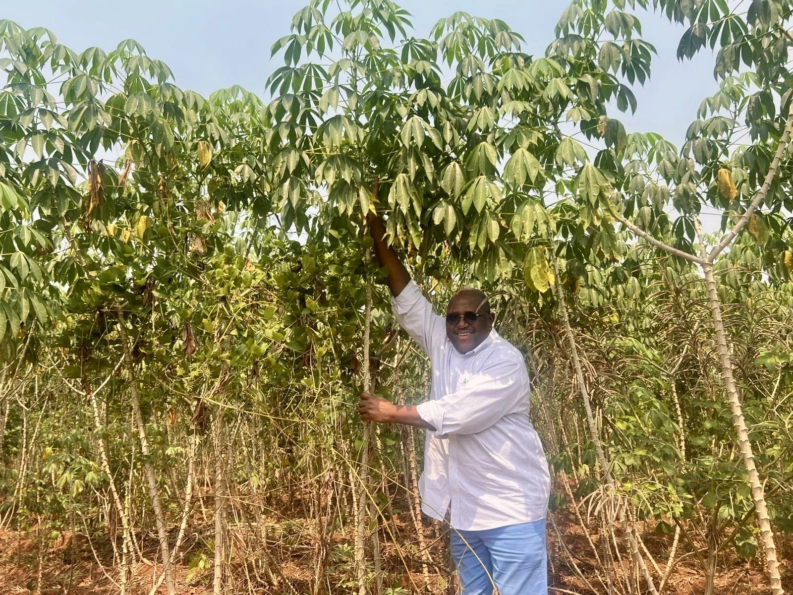 Food science expert Dr. Tony Bello standing in a cassava farm during a field research visit