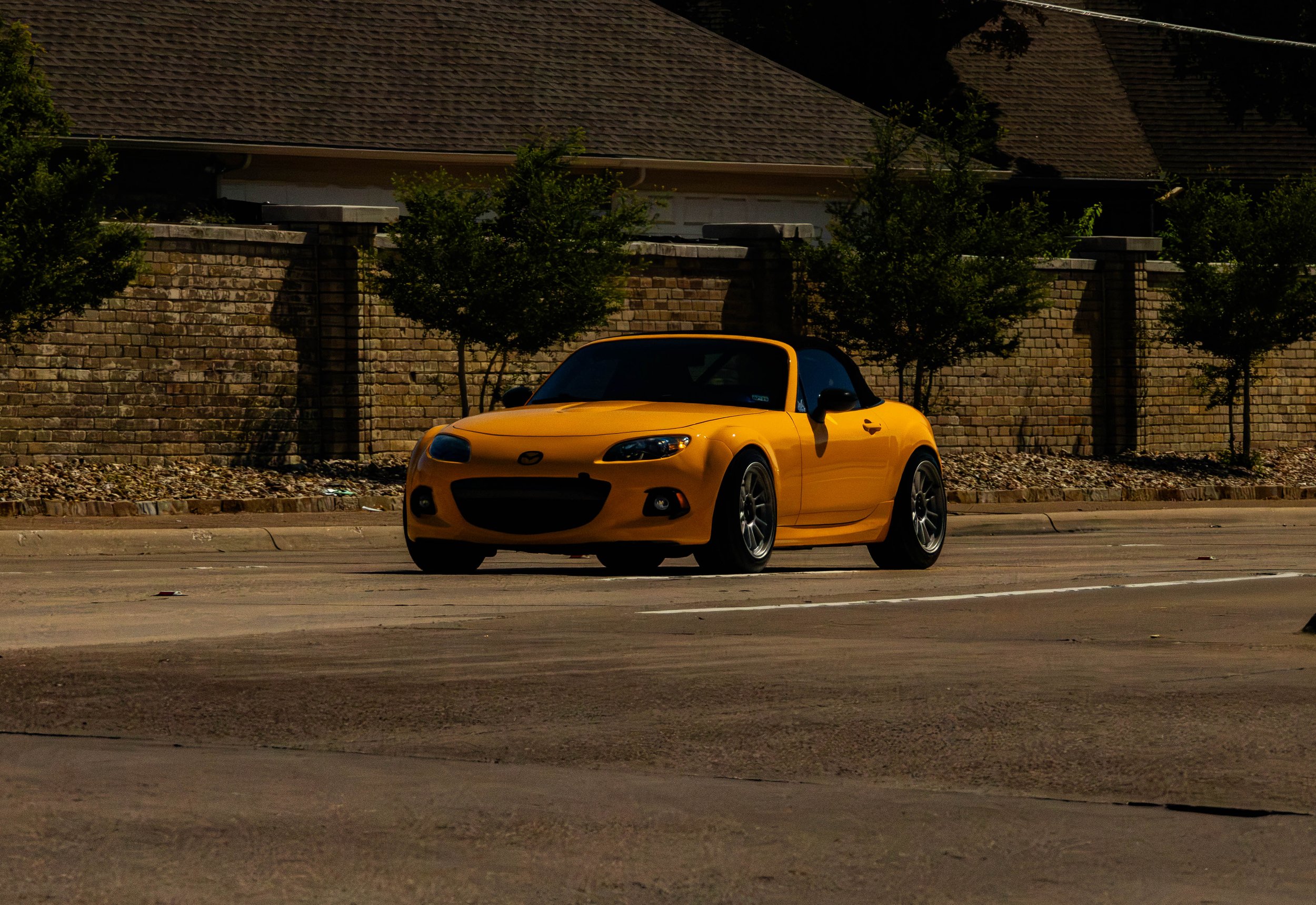 266A1603.jpg