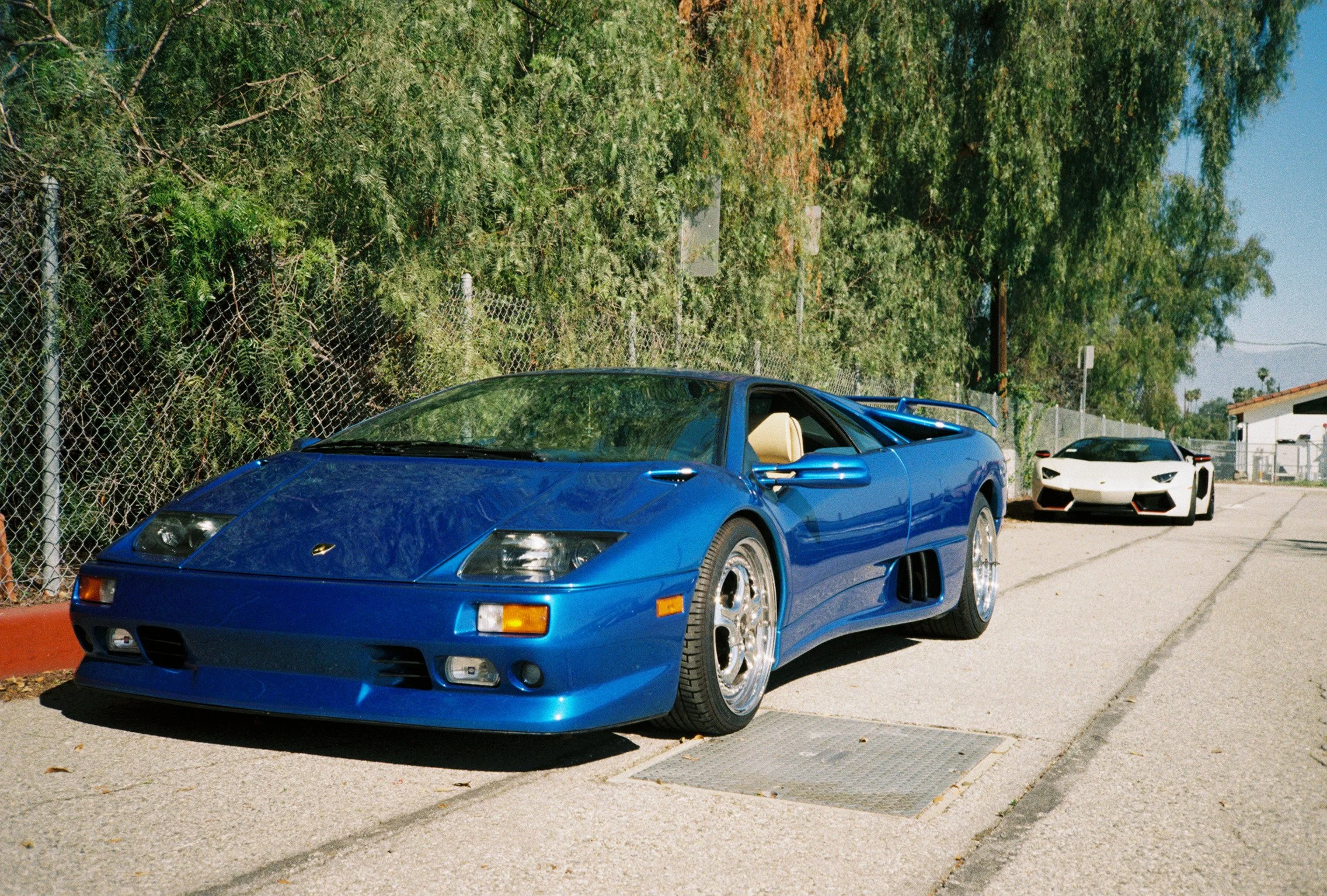 CAMRON443030628- (30).jpg