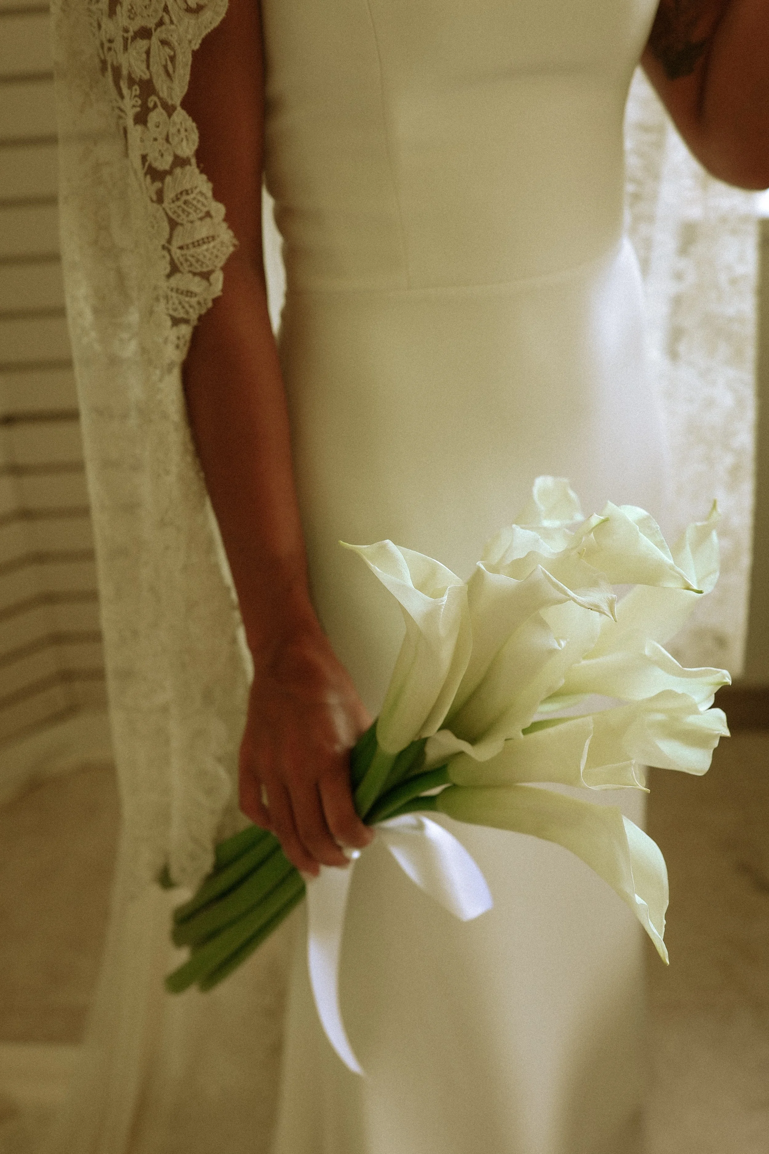 Photo Jan 17 2024, 8 43 51 PM.jpg