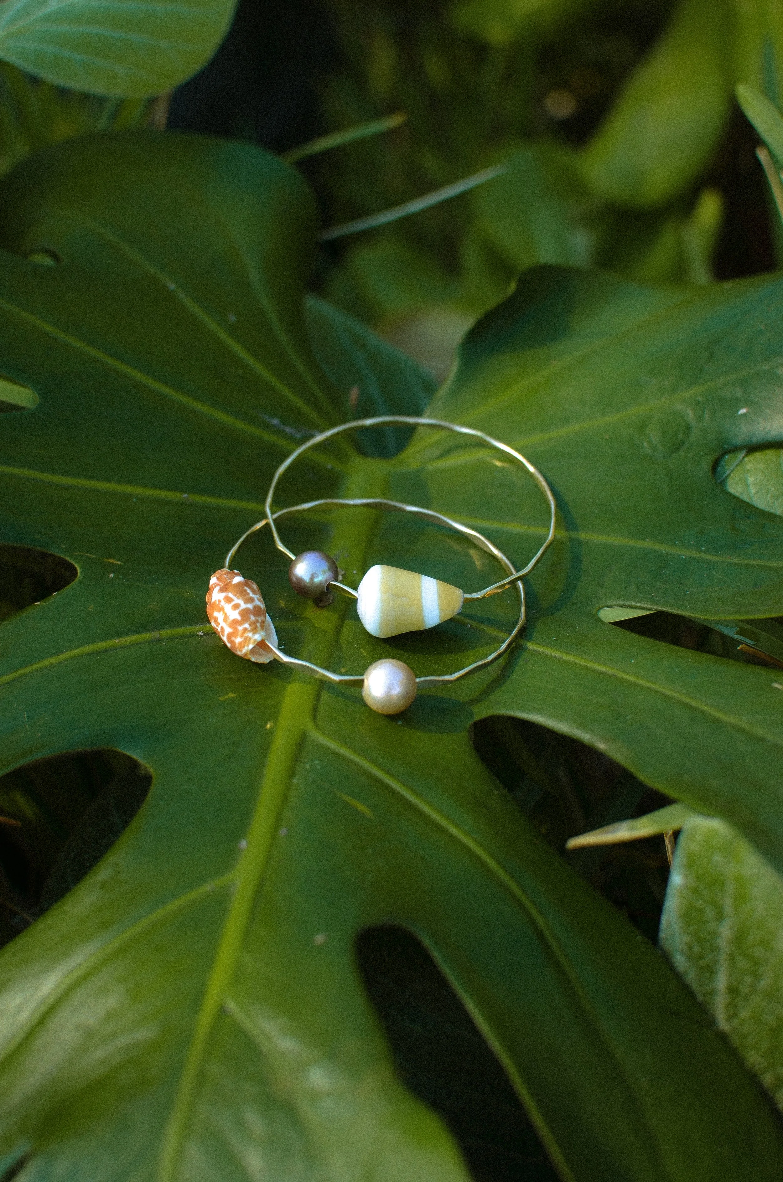 Photo Oct 04 2023, 12 51 46 PM.jpg