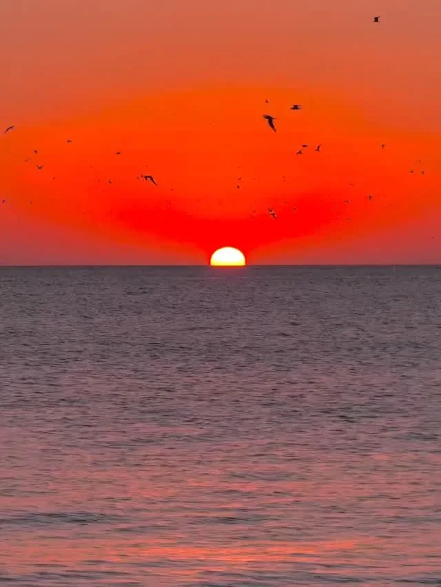 Amara MOOD &mdash; Discover Noya Signatures online now 🌶️❤️
⠀⠀⠀⠀⠀⠀⠀⠀⠀
Restocked &amp; available for warmer days ahead ☀️