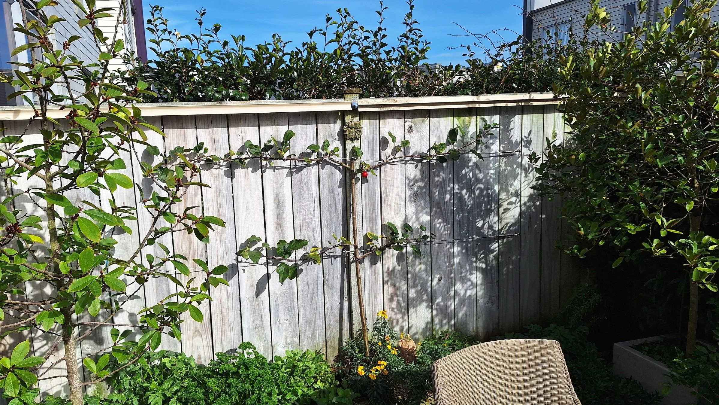 A backyard garden with a wooden fence, various plants, and a beige outdoor chair.