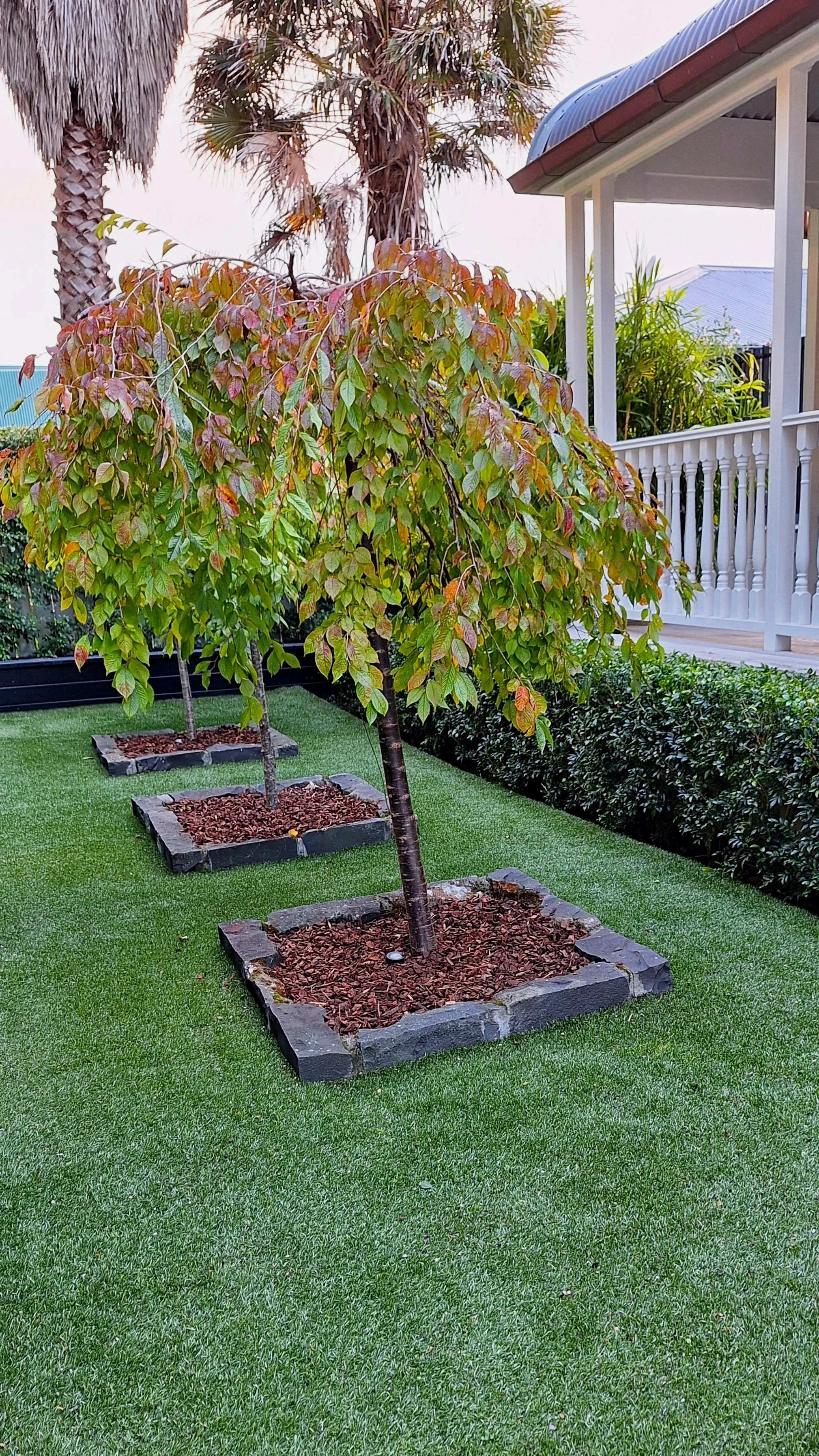 A landscaped yard with artificial lawn, three young trees in square stone-bordered beds, and a patio with white railing. There are palm trees and other foliage in the background.