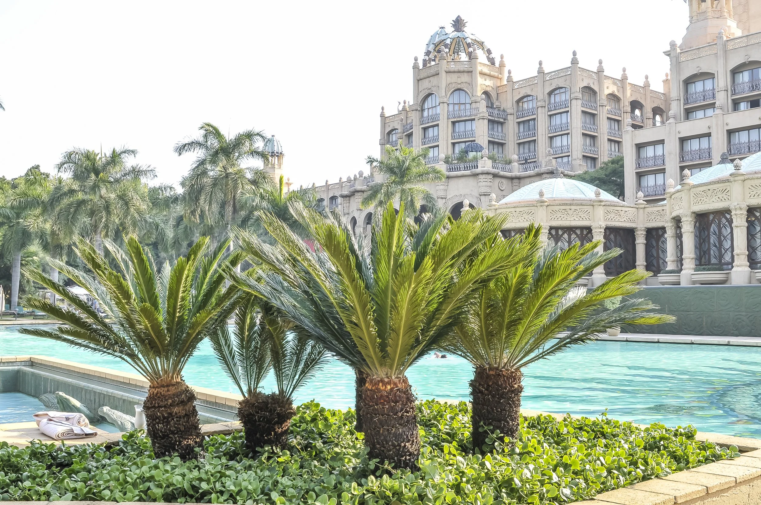 Palm trees and lush greenery in front of a large, ornate hotel building with towers and balconies, near a swimming pool.