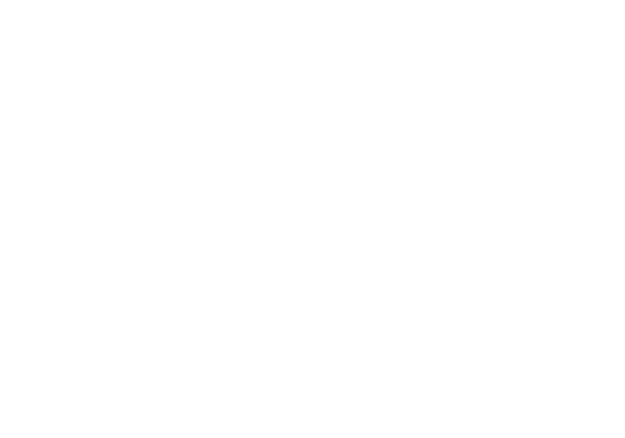 The Survivor Service logo in white