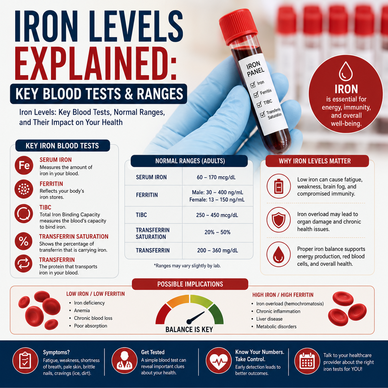 ‍  ‍Understanding Iron Studies: Key Components and Their Importance