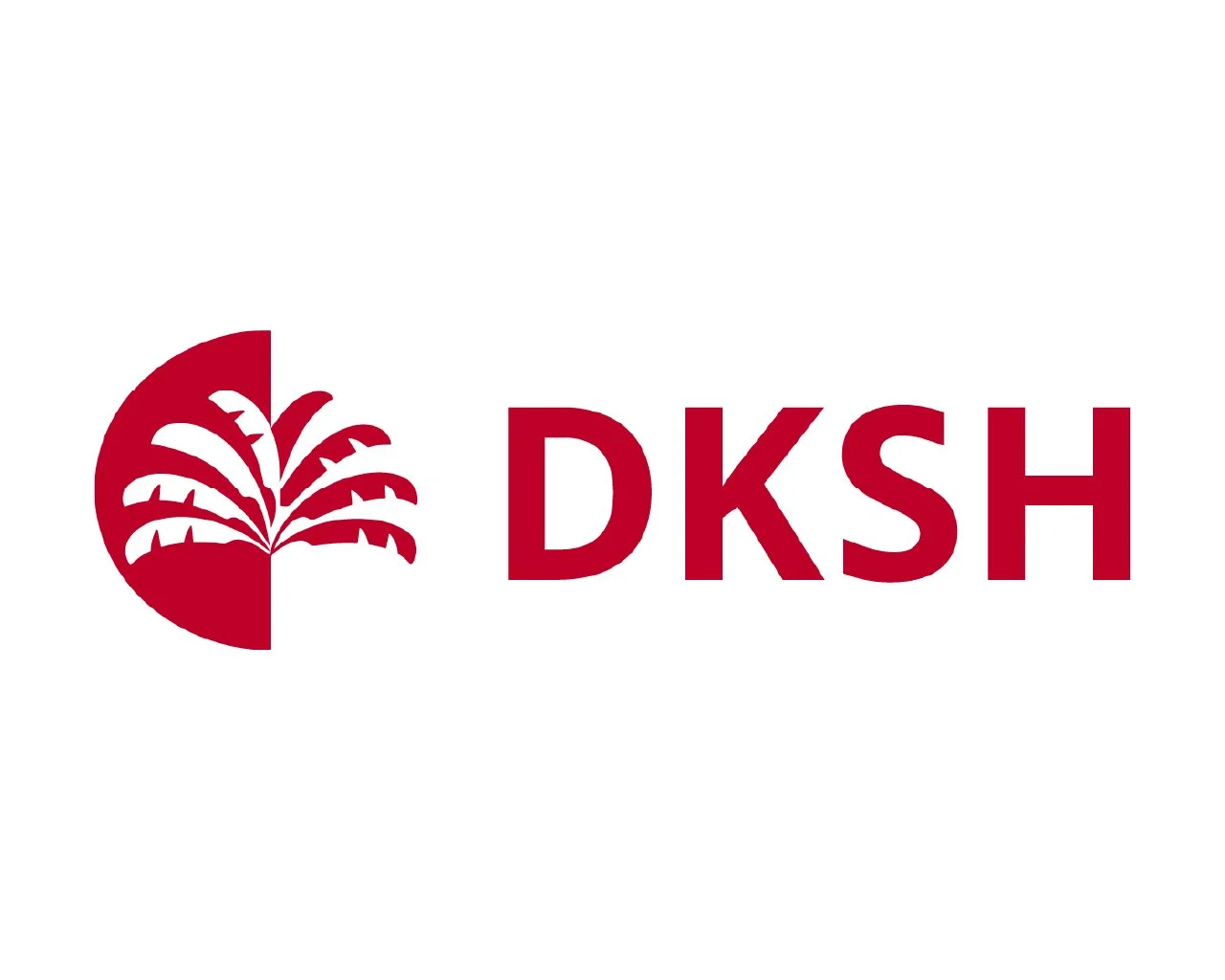 Key Business logo_DKSH.jpg