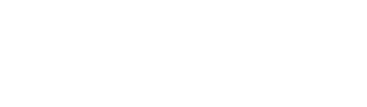 Mental Fitness Coaching