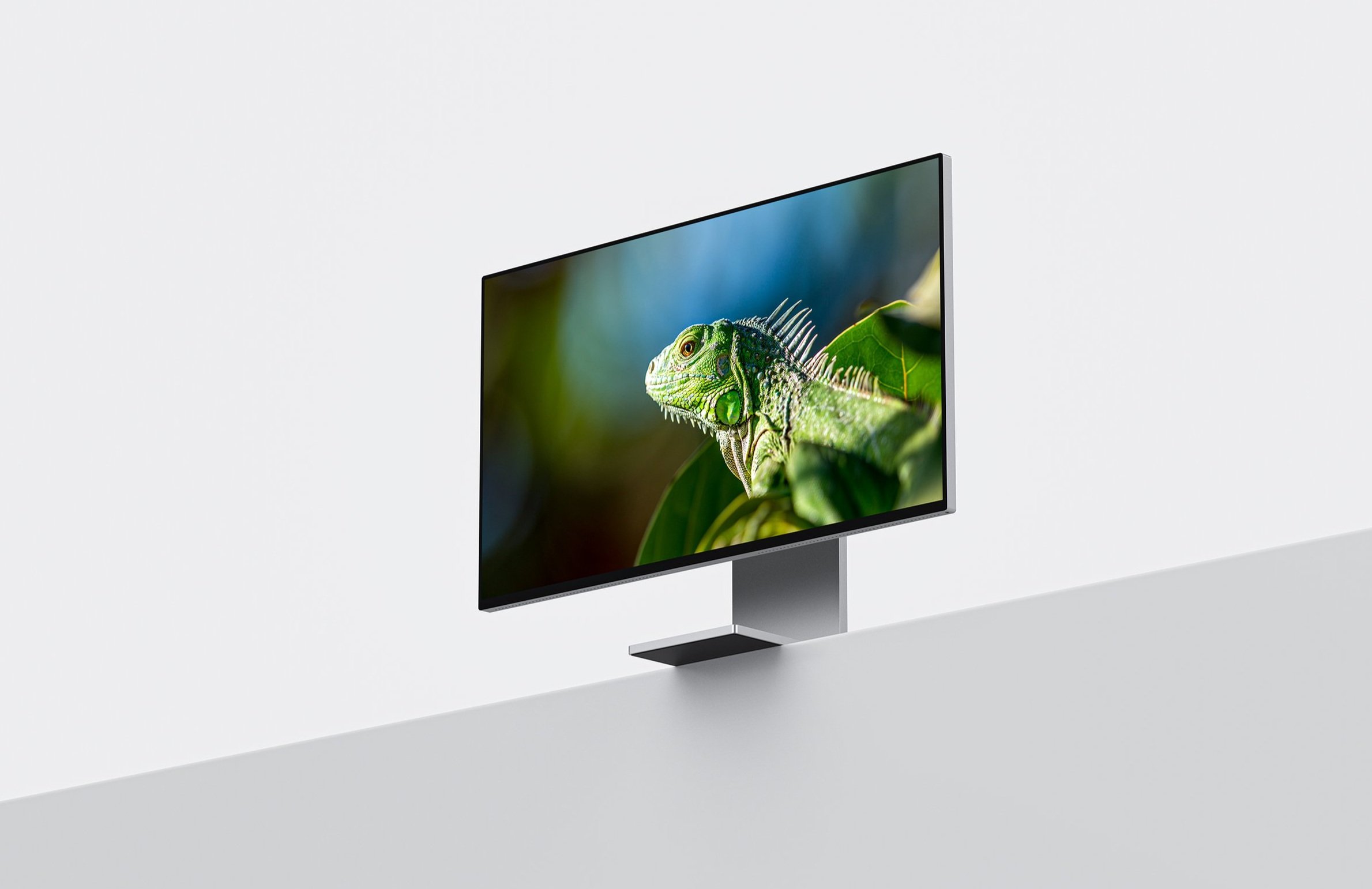 A modern flat-screen monitor displaying a close-up image of a green iguana on a leafy branch