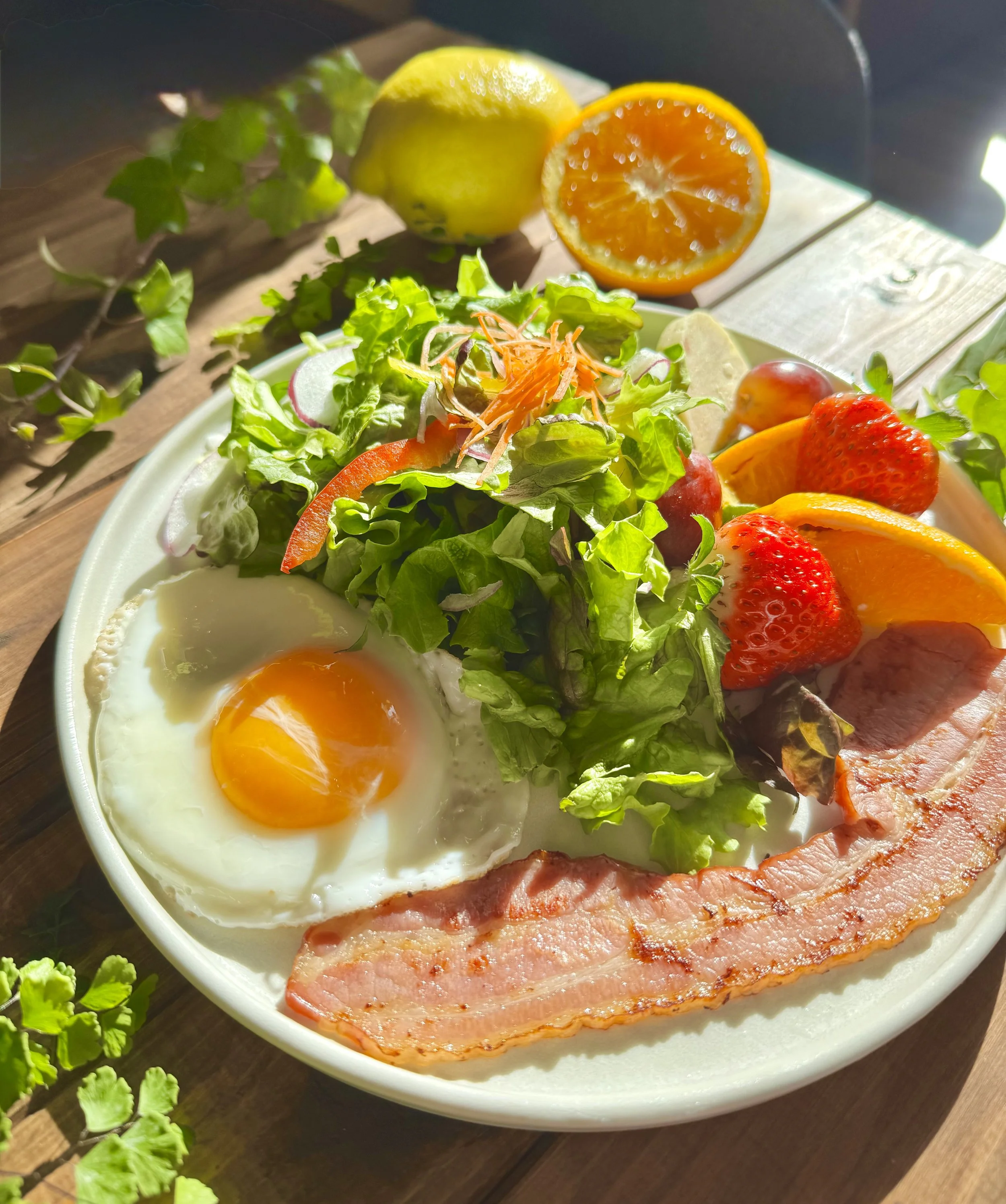 サラダと目玉焼き、ベーコン、フルーツ（オレンジとイチゴ）を盛り付けた皿の写真。背景にレモンとみかんの断面も写っている。