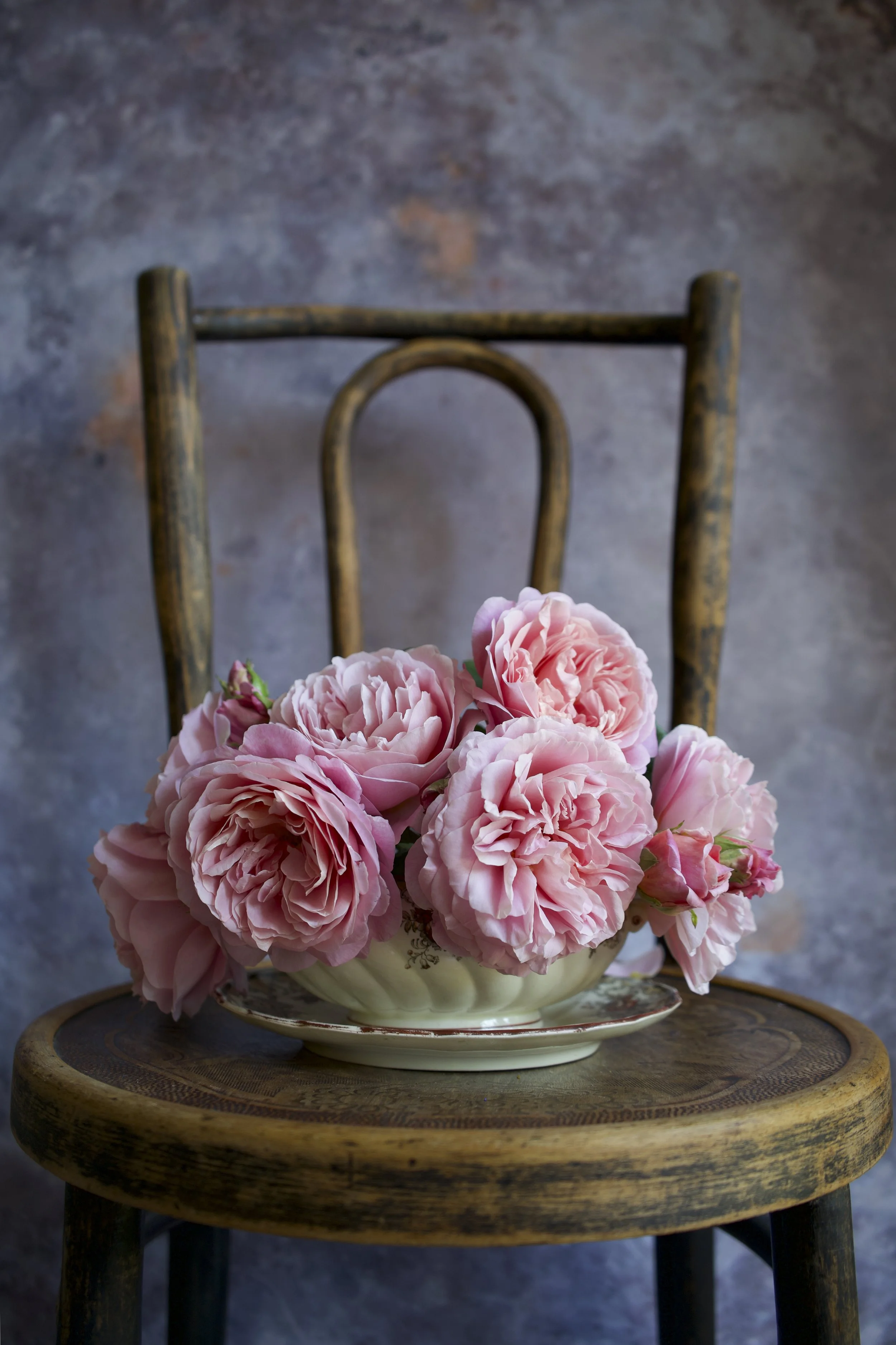 Pink vintage roses in a vintage ceramic bowl on a wooden chair with a textured gray background.