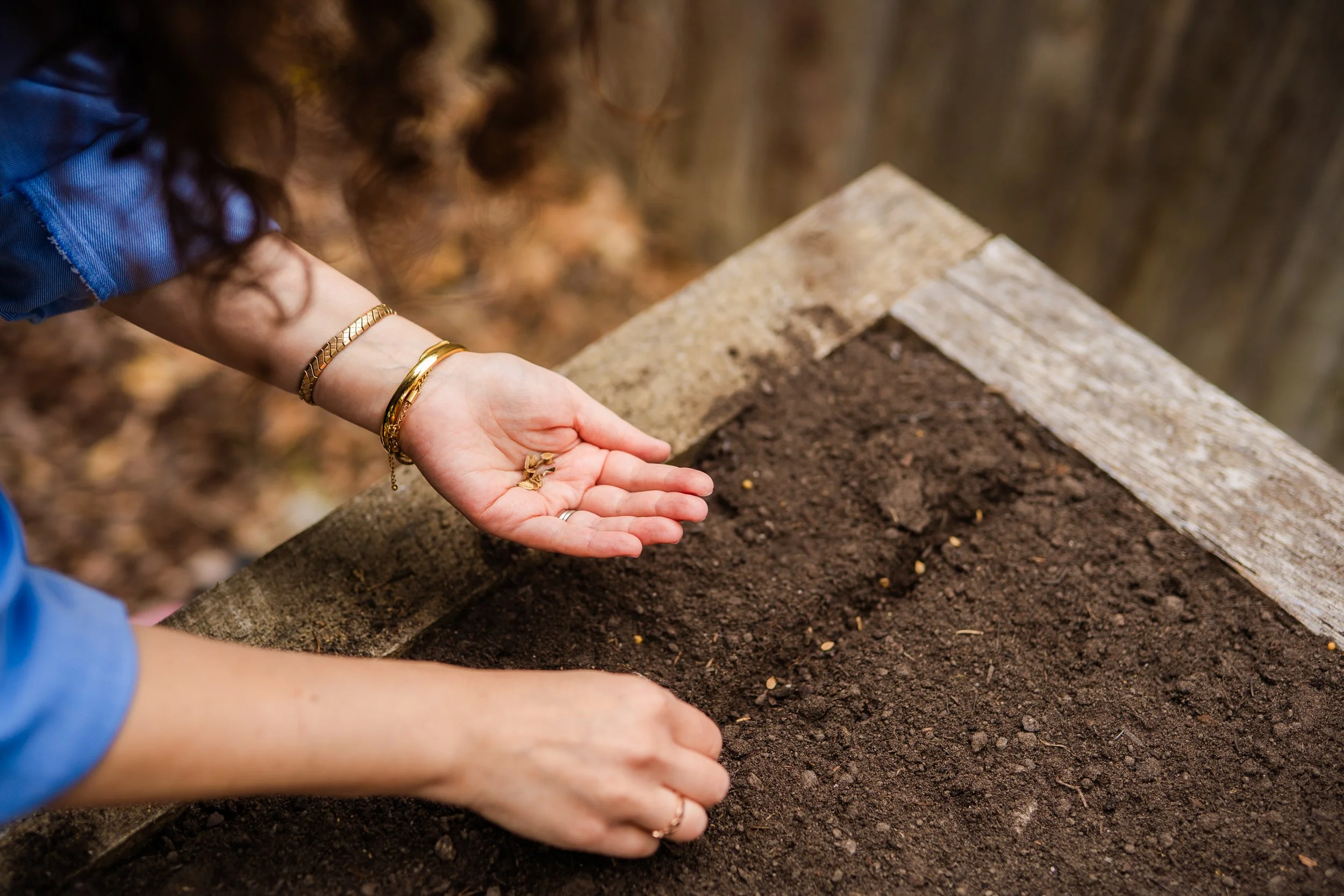 The Life Beneath Our Feet
