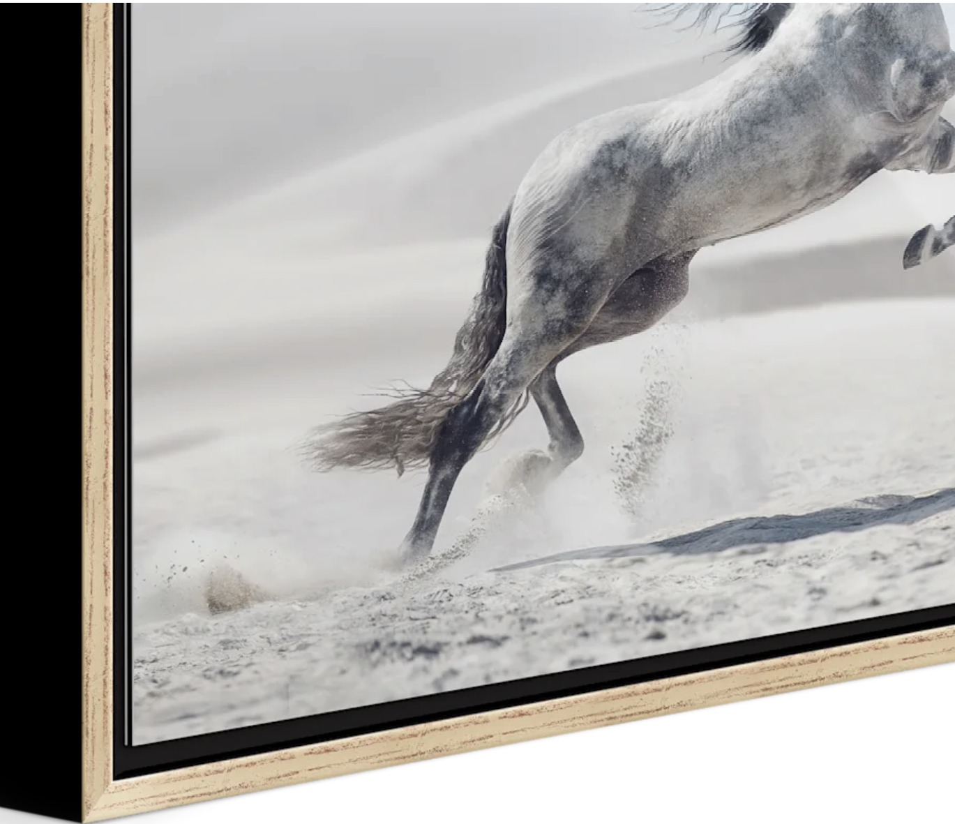 A framed picture of a grey horse running through snow.