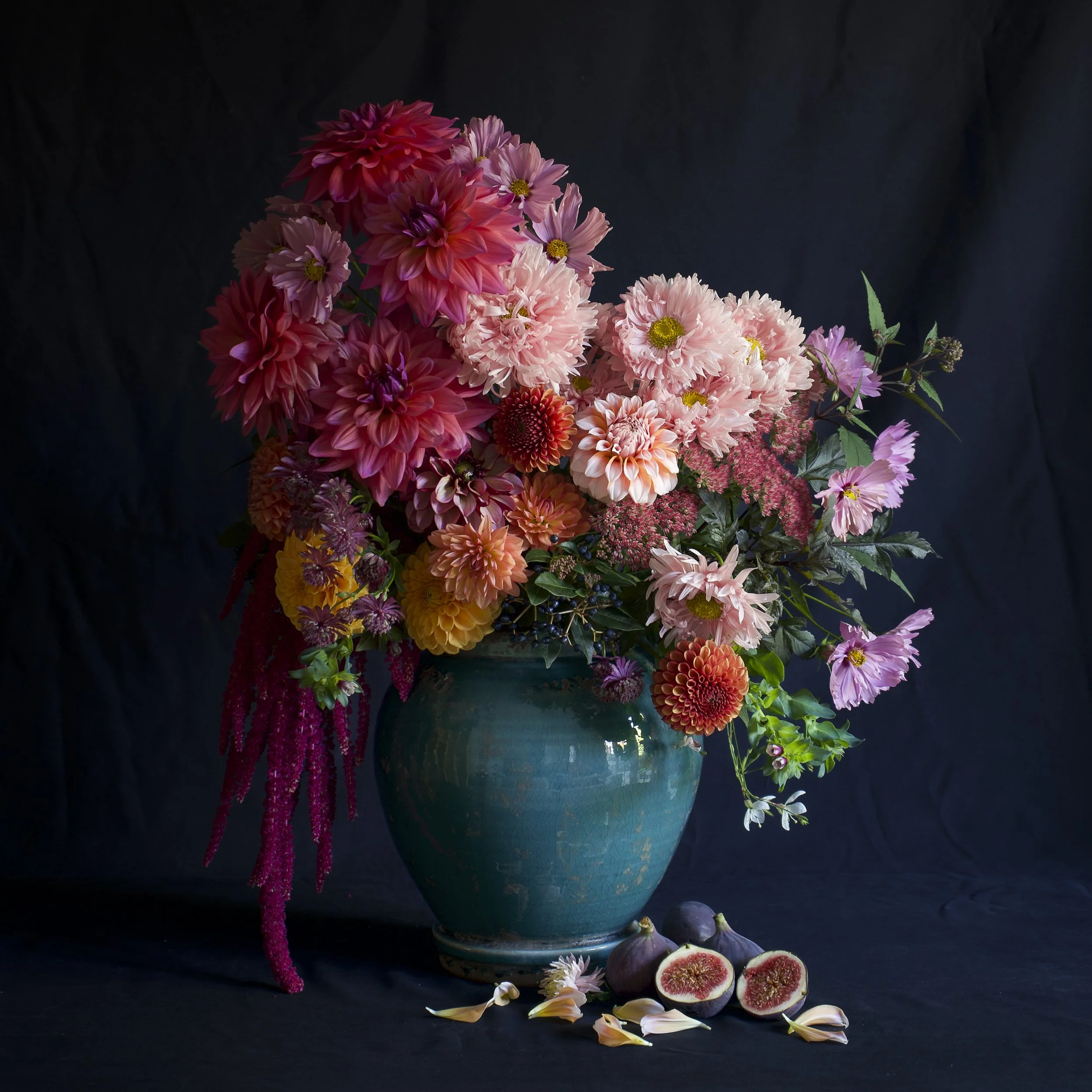 A bouquet of pink, red, orange, and purple flowers including dahlias, amaranth, cosmos, in the style of still life, in a teal ceramic vase, with figs and flower petals in front against a dark background.