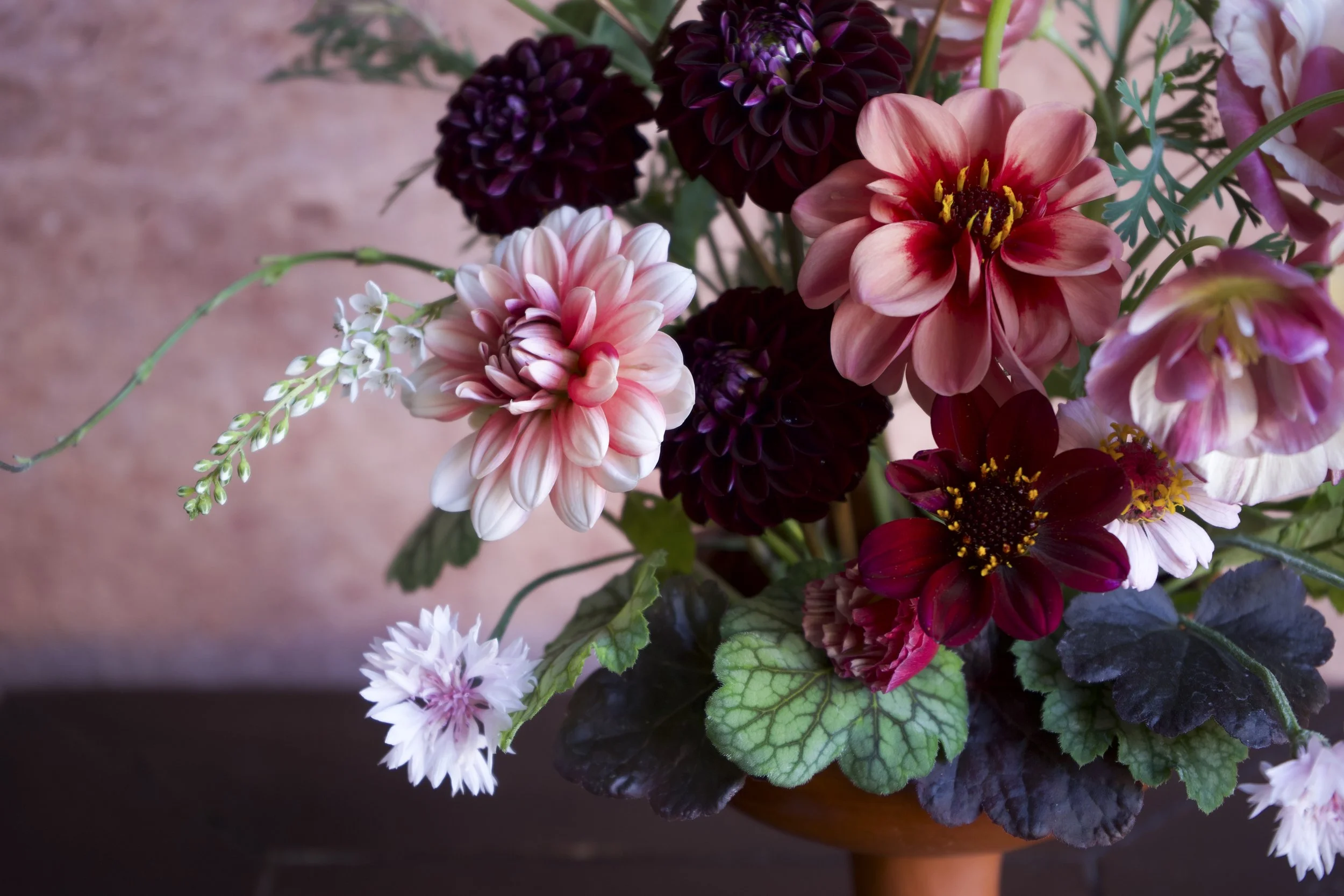 A colourful bouquet of various flowers including dahlias and dark purple dahlias, pink and red dahlias, pink California poppies with green and dark purple leaves of heuchera, arranged in a brown footed vase against a pink background.