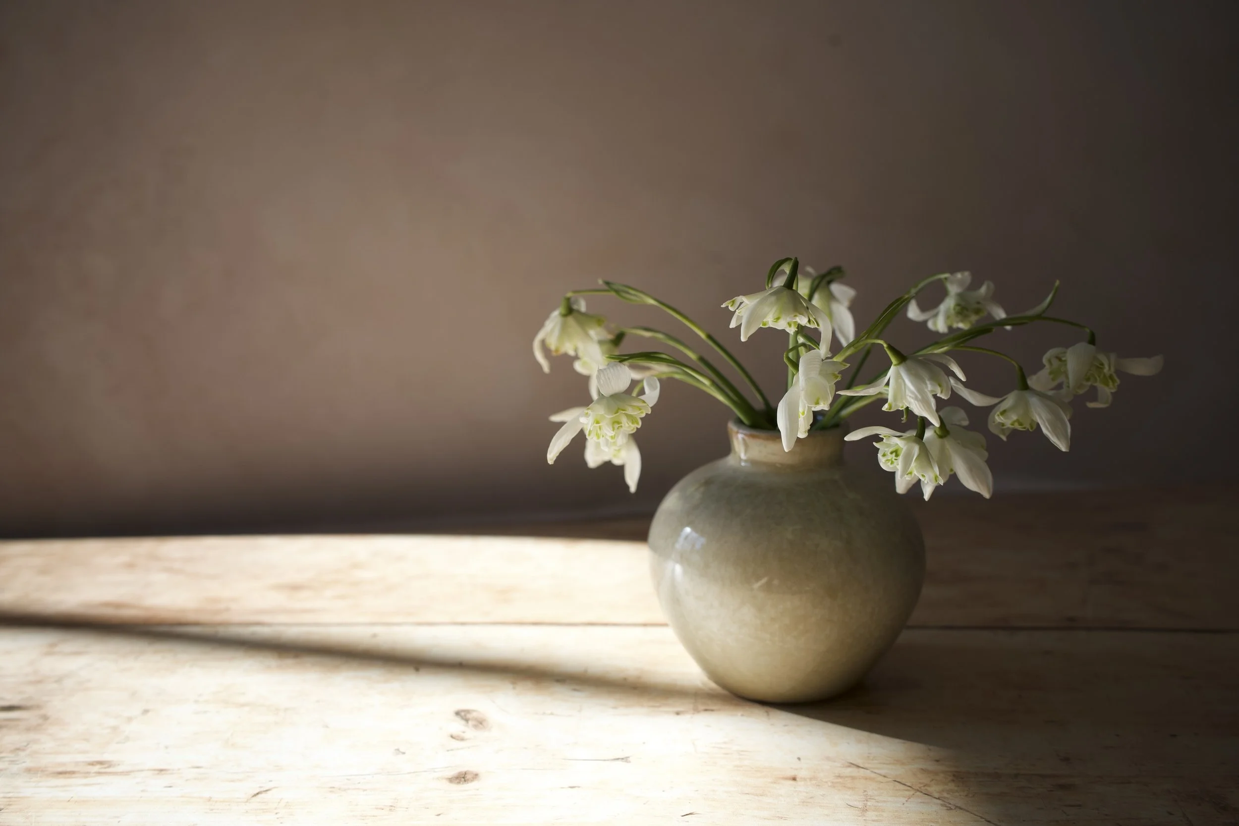 A beige ceramic vase with a matte finish contains white snowdrop flowers with green stems, placed on a wooden surface with a plain, softly lit background.