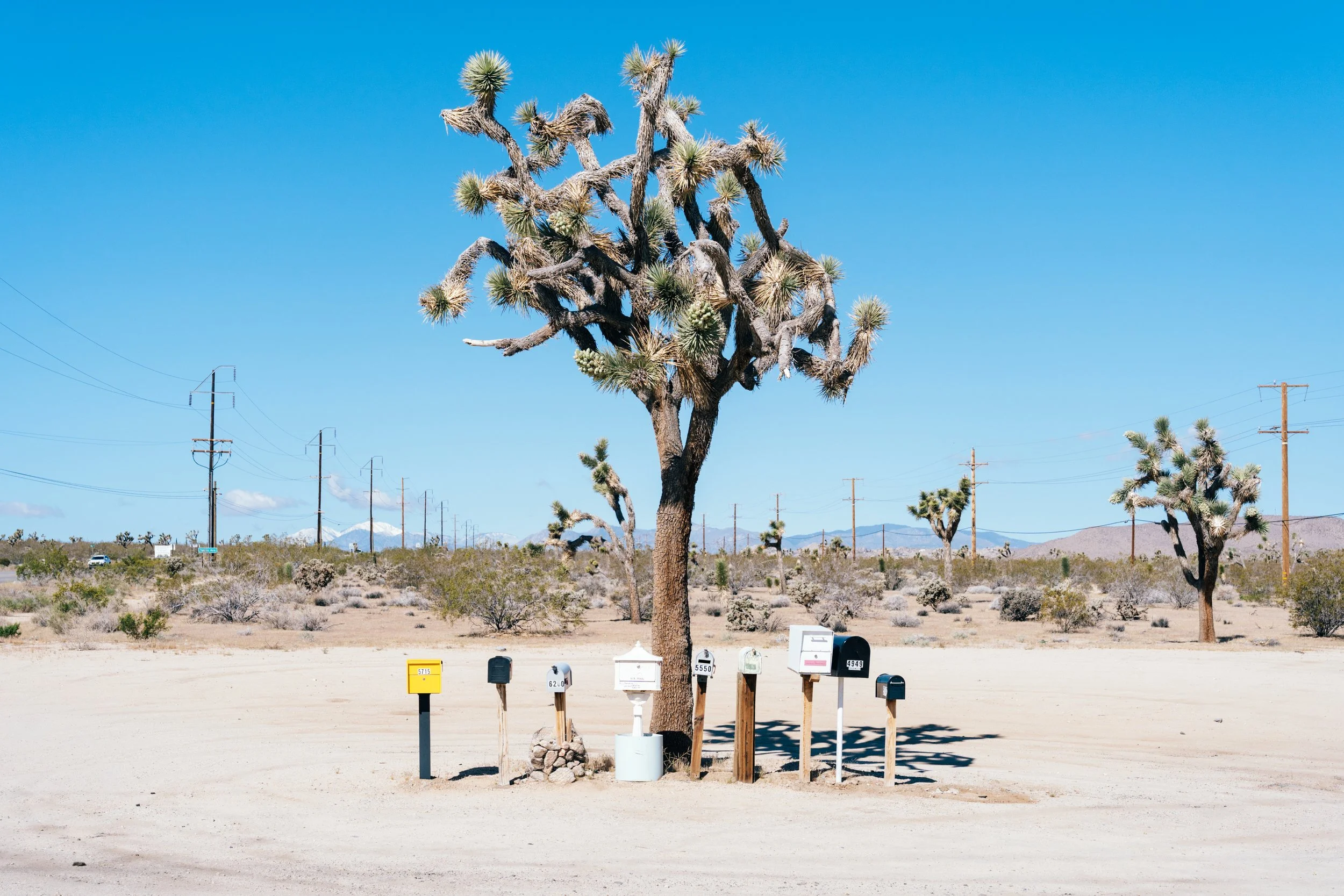 Post Boxes.jpg