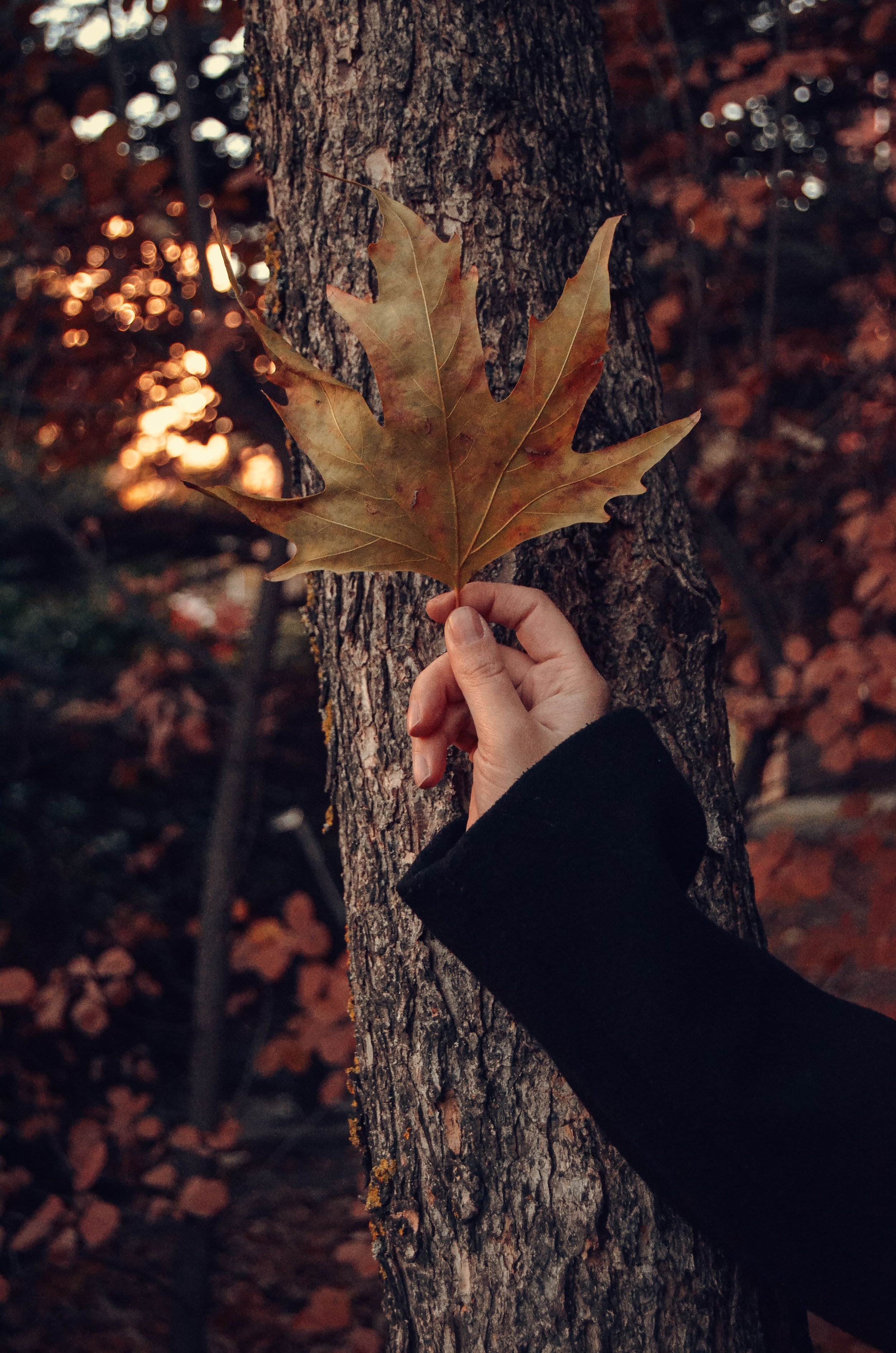 Your skin has had a summer. Here's how to reset it for autumn.