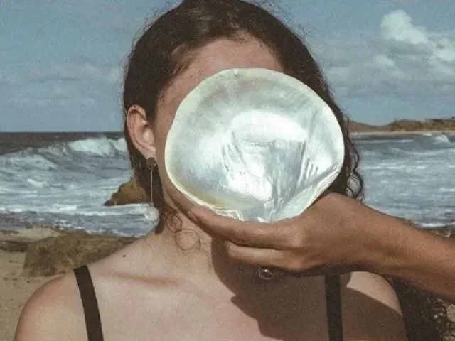 “lesbians that can't find their shells”